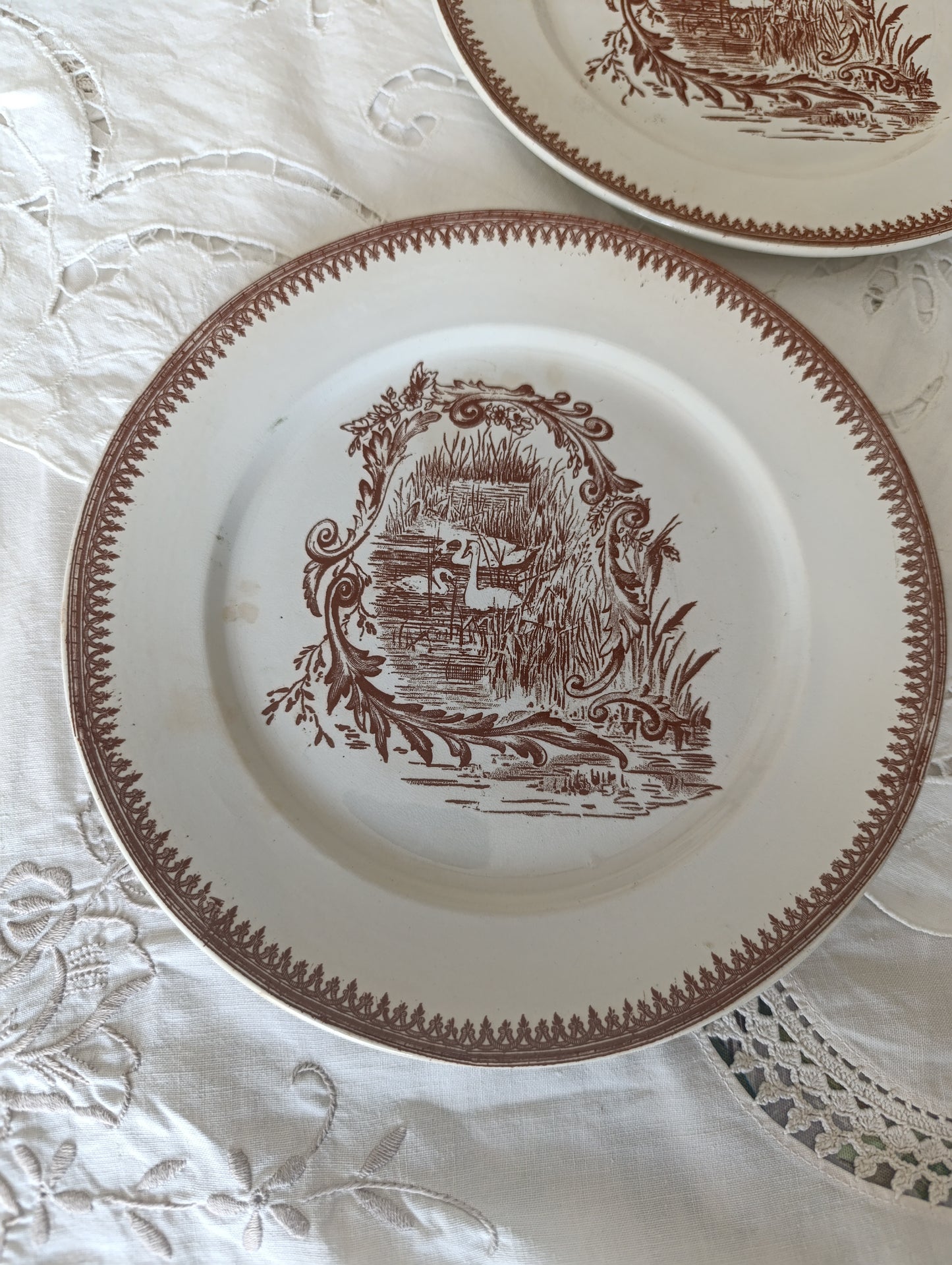 Assiette dessert Rocaille Pexonne