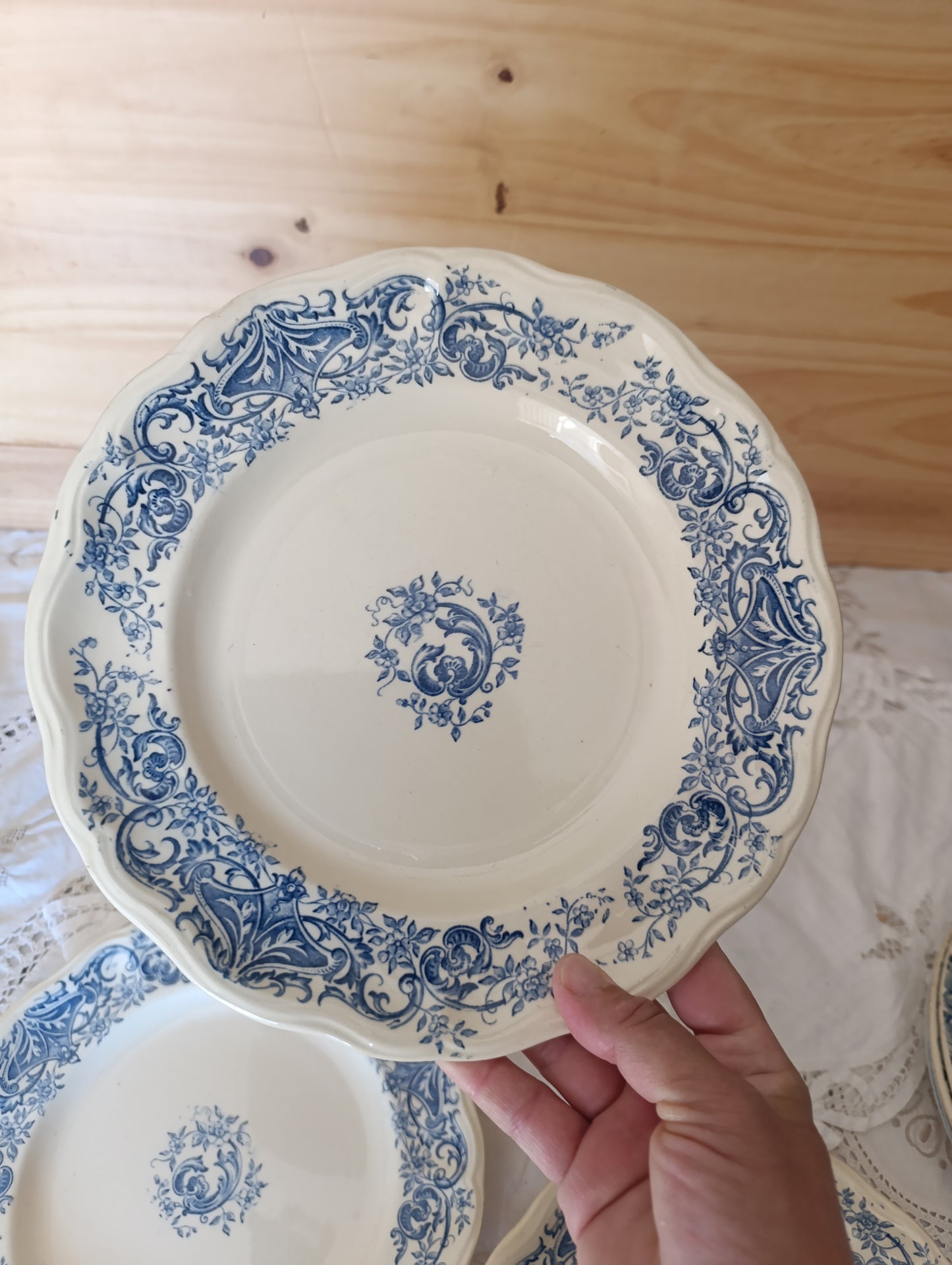 Assiettes Aramis Longchamp terre de fer bleu