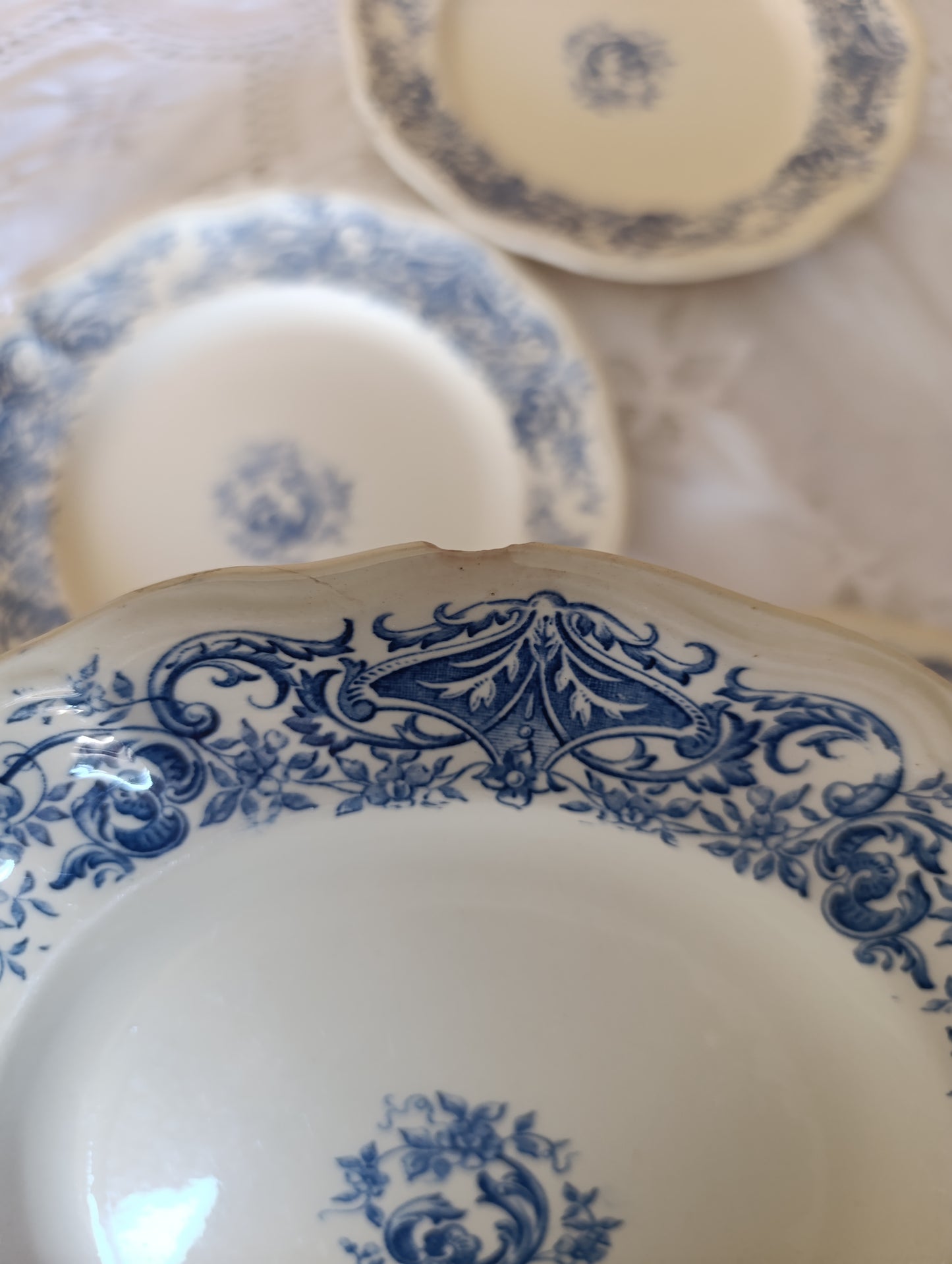 Assiettes Aramis Longchamp terre de fer bleu