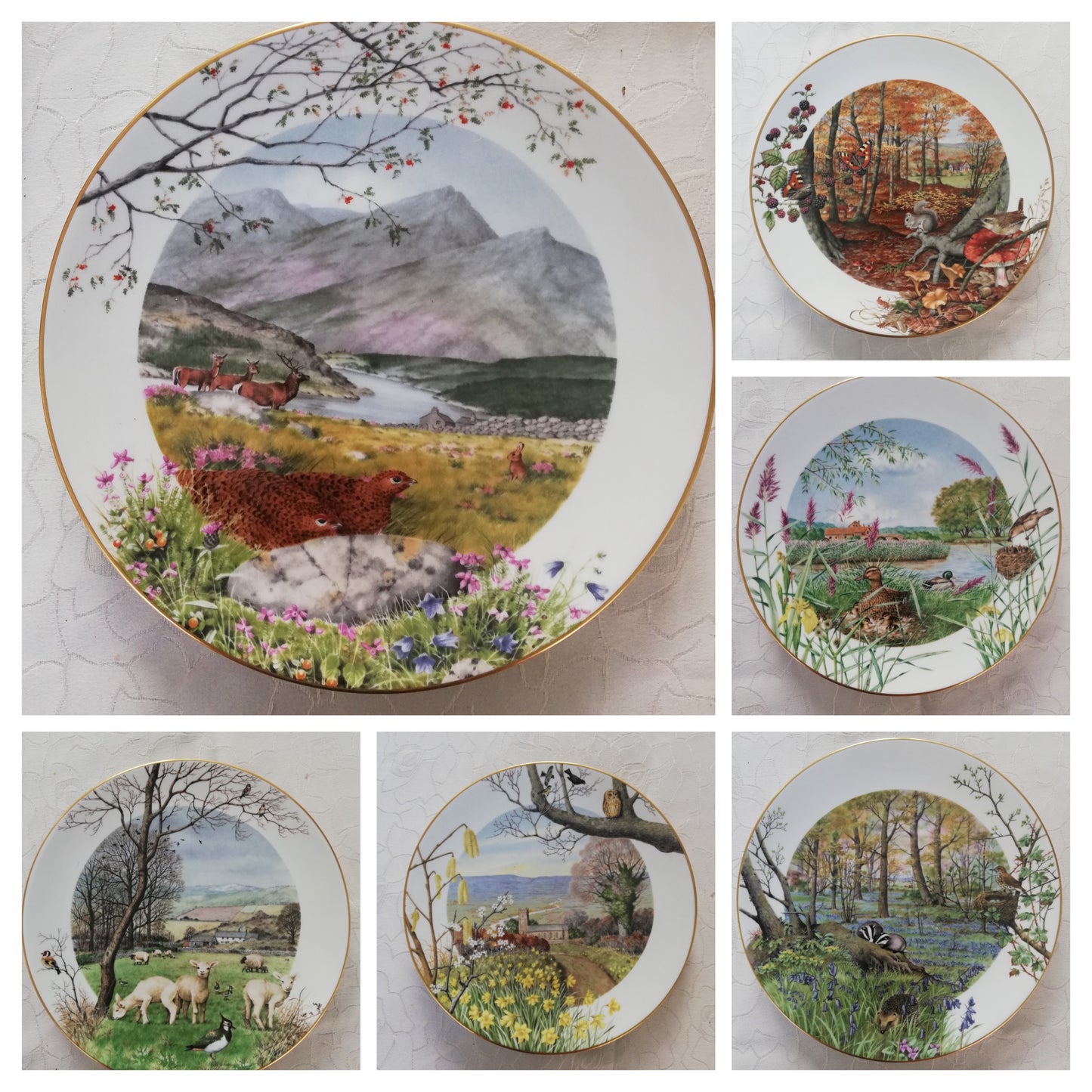 Assiette Fine Porcelaine Royal Worcester Peter Barrett