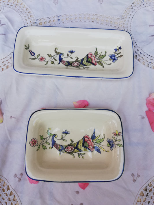 Porte savon et peigne terre de fer Longchamp