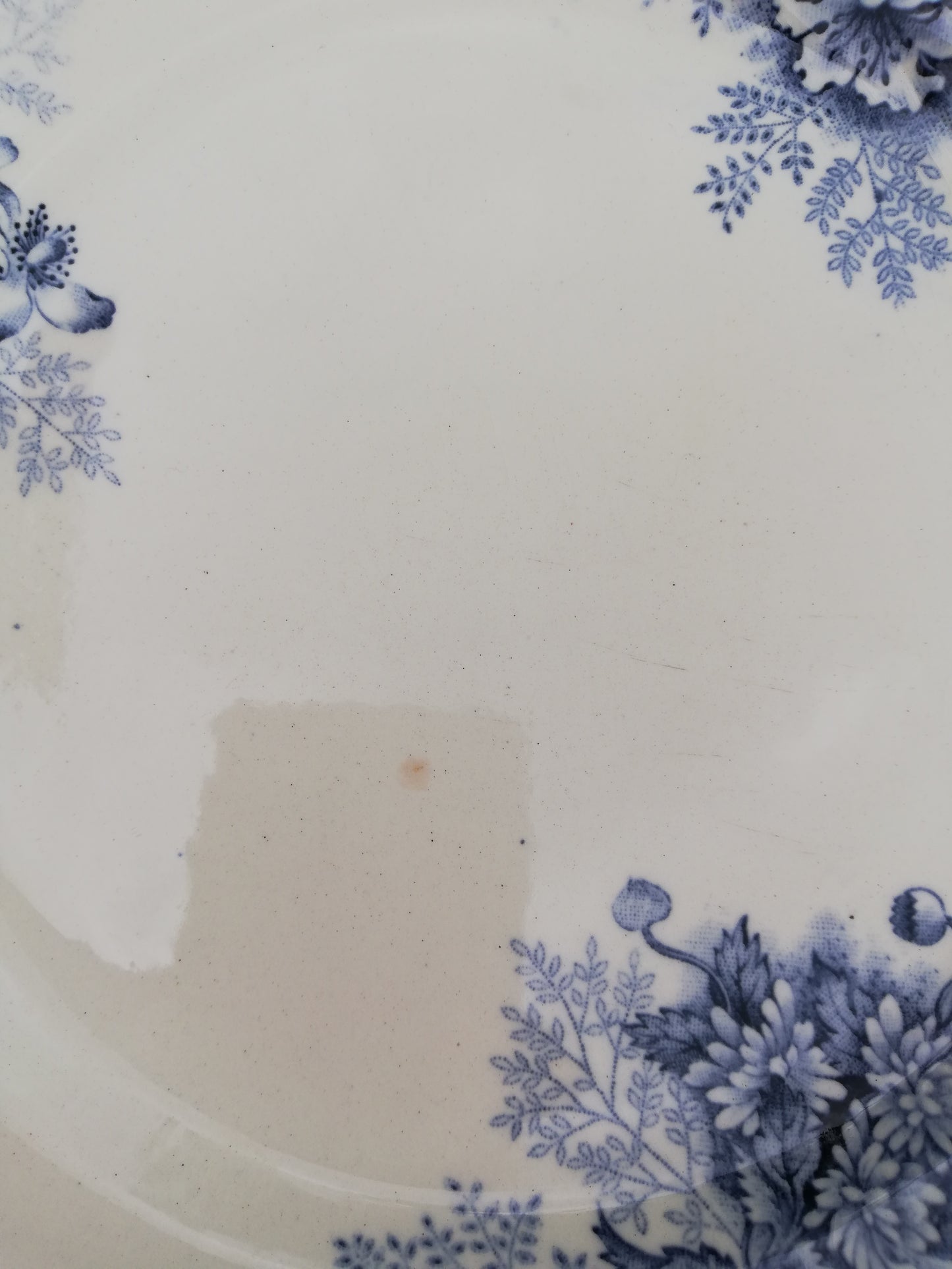 assiette Floreal Choisy le Roi