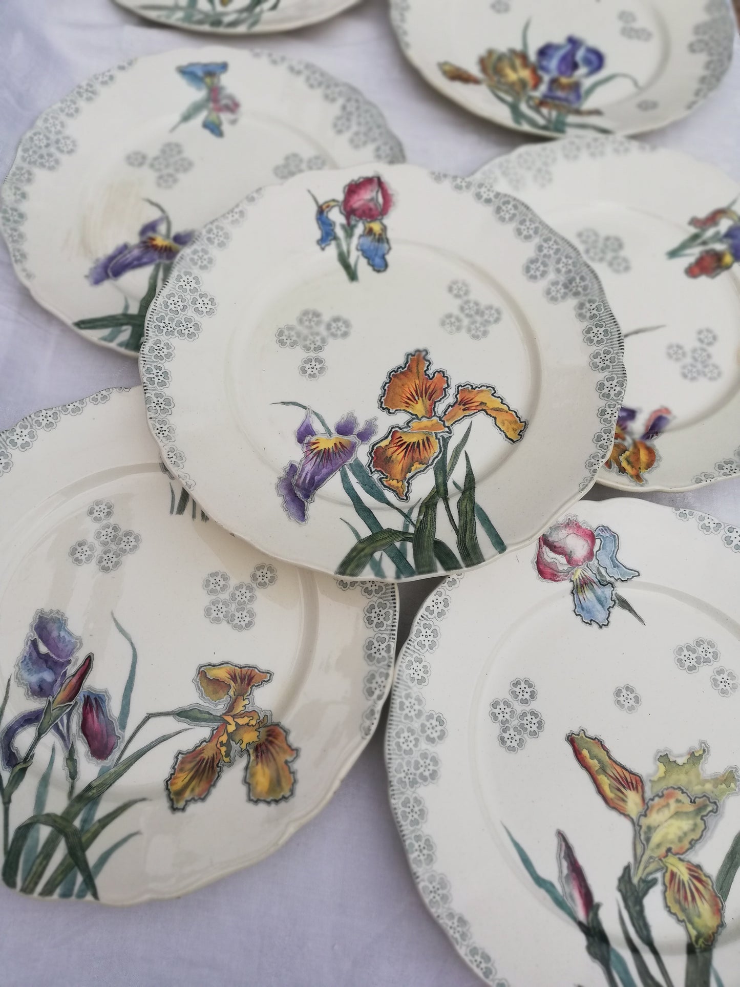 Assiette iris choisy le roi