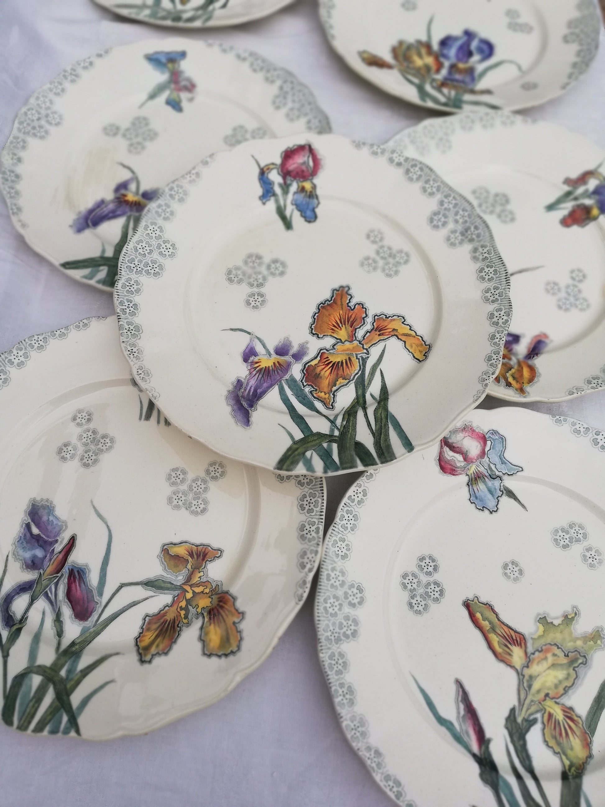 Assiette iris choisy le roi