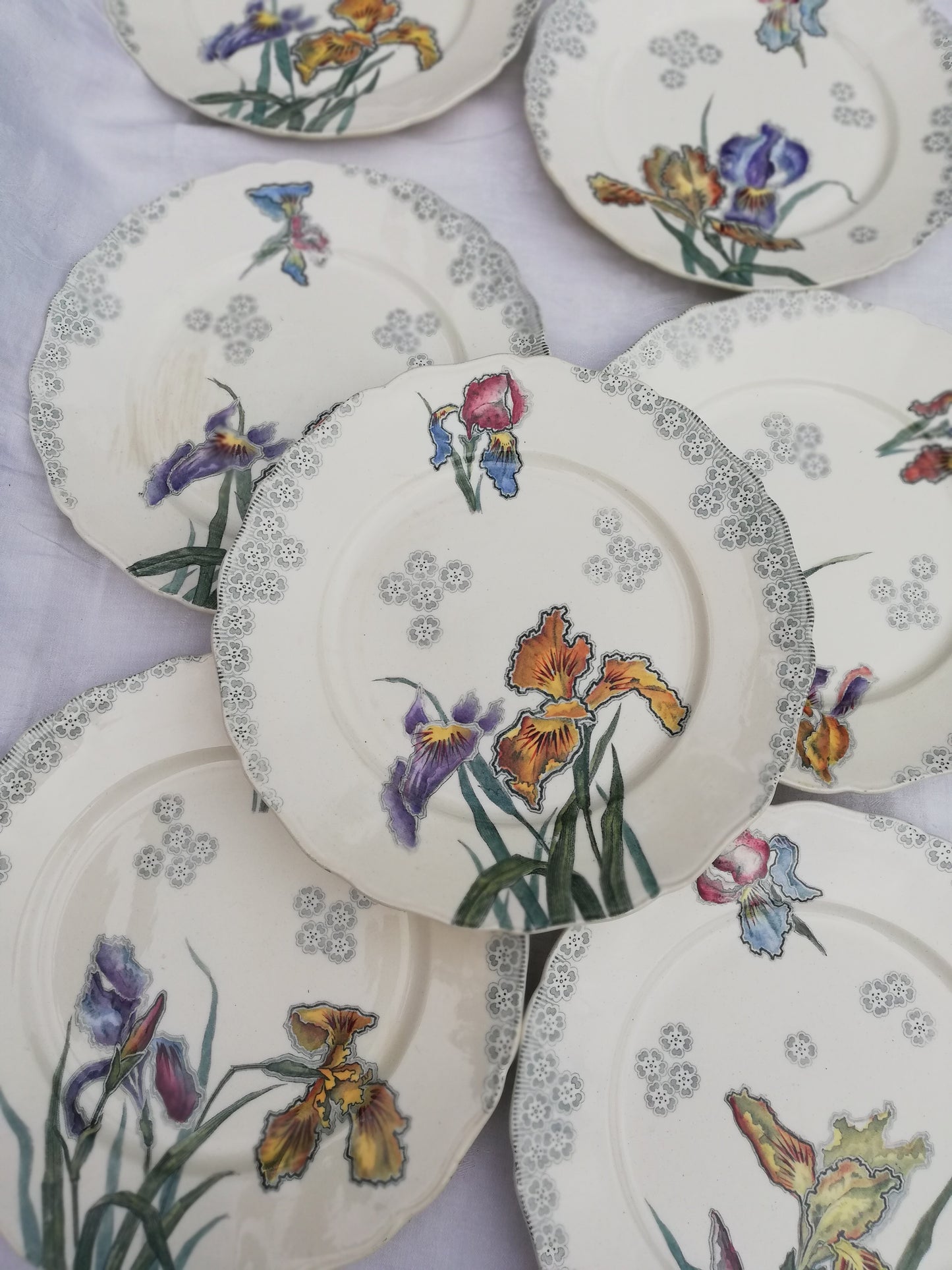 Assiette plate Iris Choisy le Roi