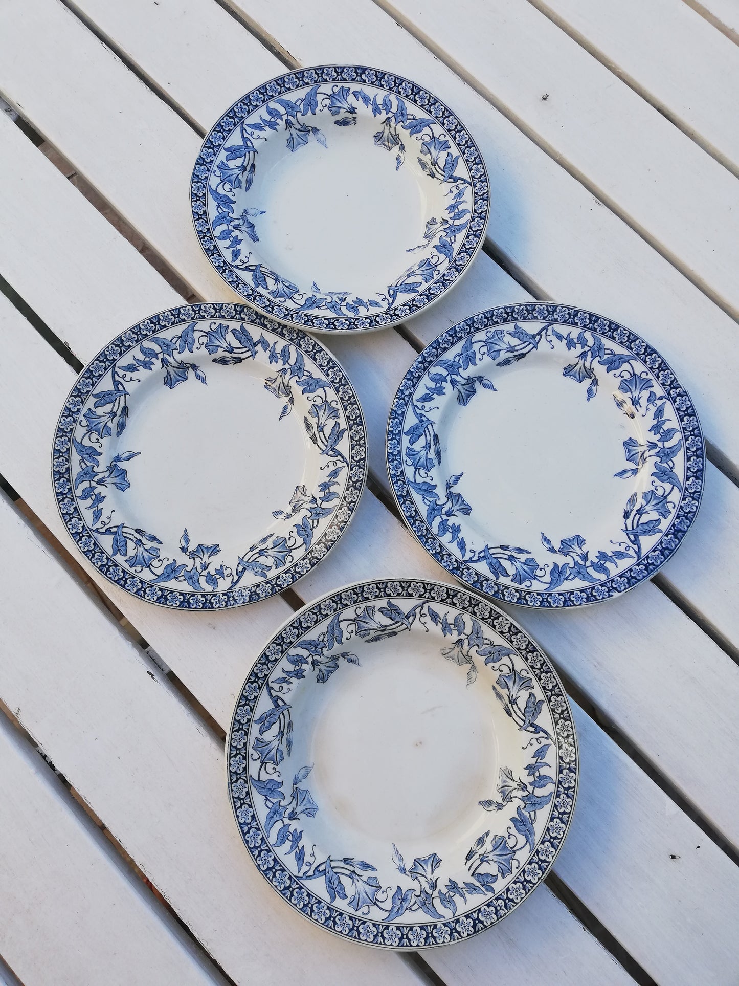 Assiette plate Saint Amand et Hamage