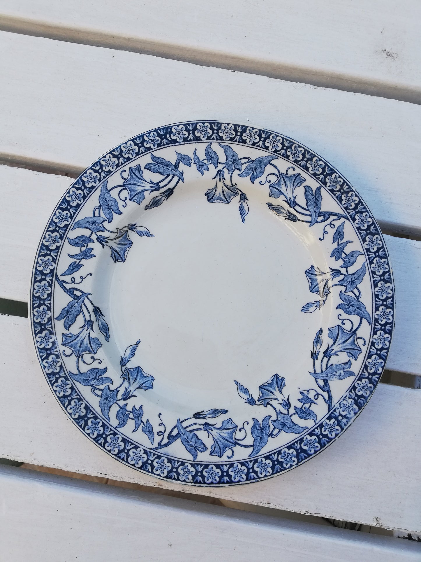 Assiette plate Saint Amand et Hamage