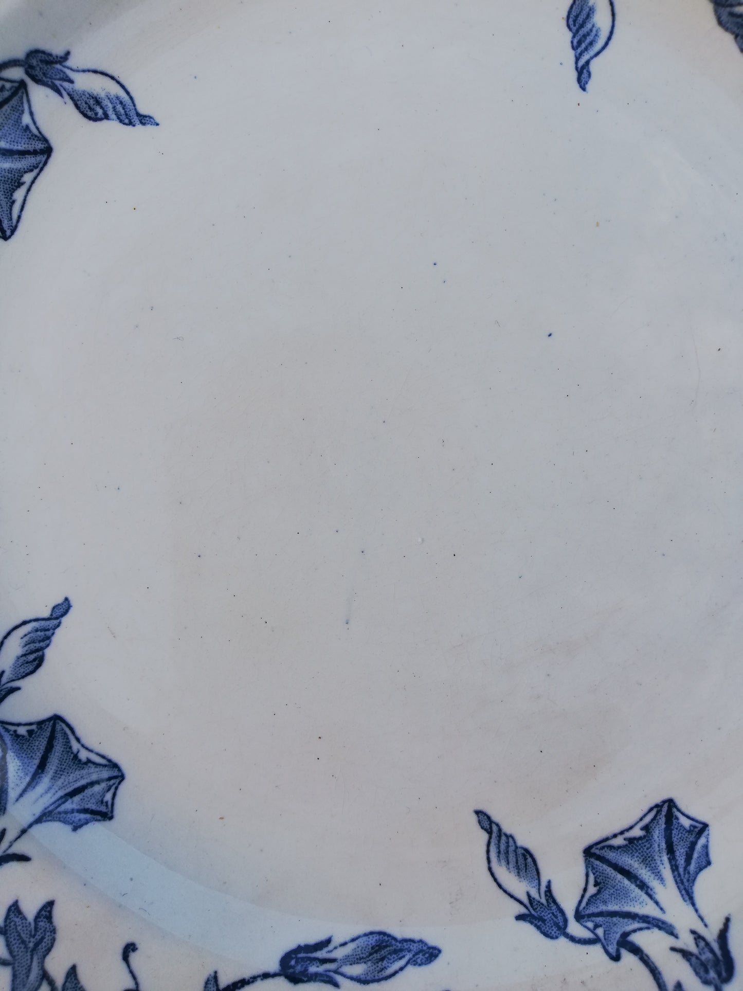 Assiette plate Saint Amand et Hamage
