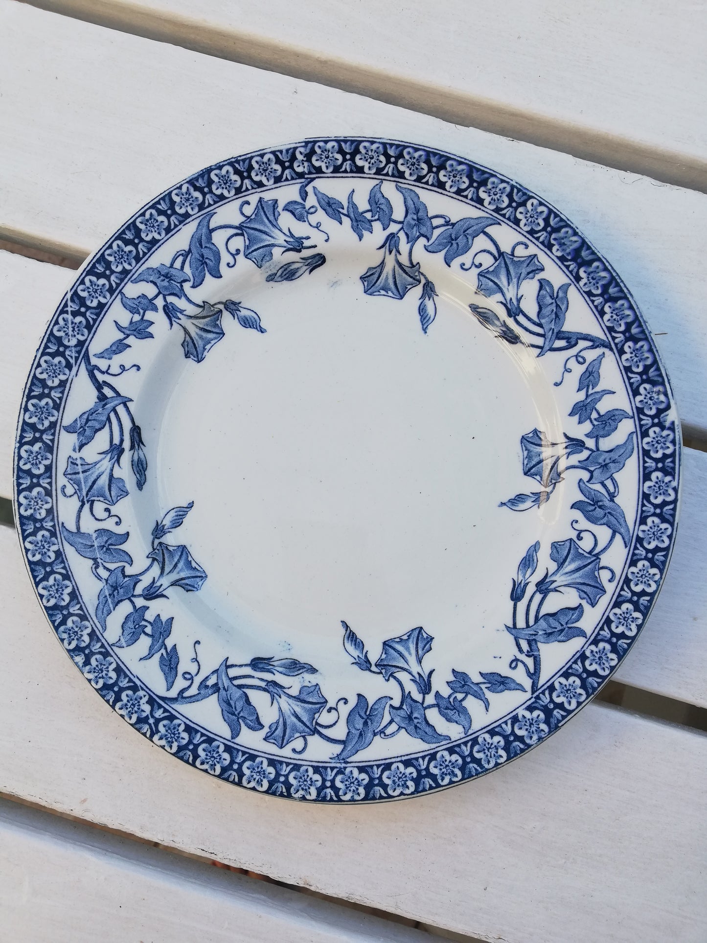 assiette terre de fer volubilis saint amand