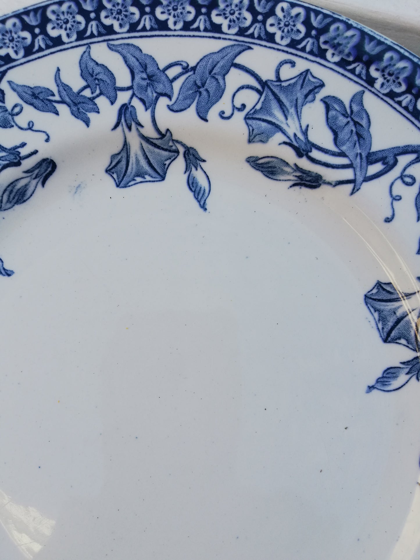 Assiette plate Saint Amand et Hamage