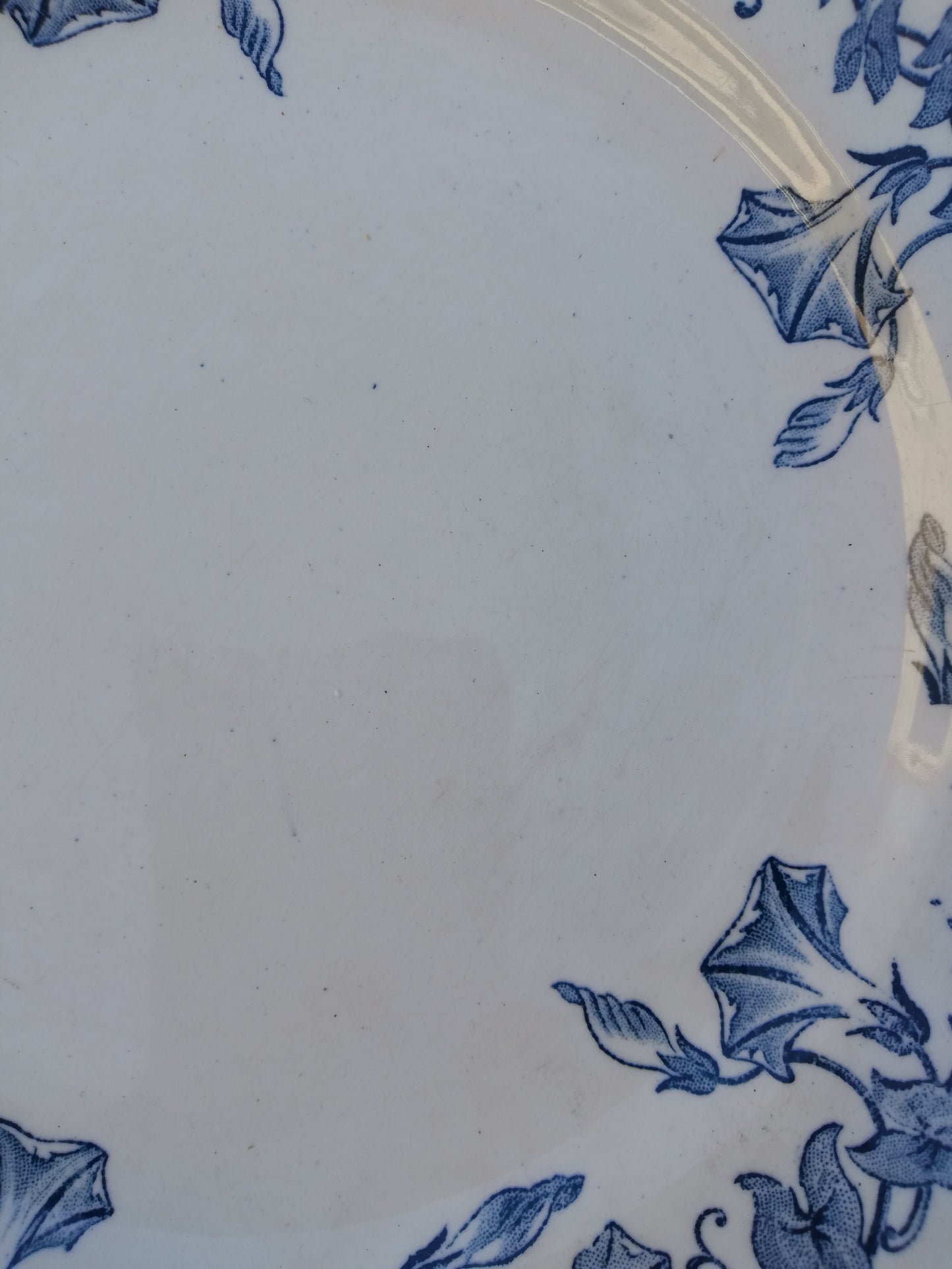 Assiette plate Saint Amand et Hamage