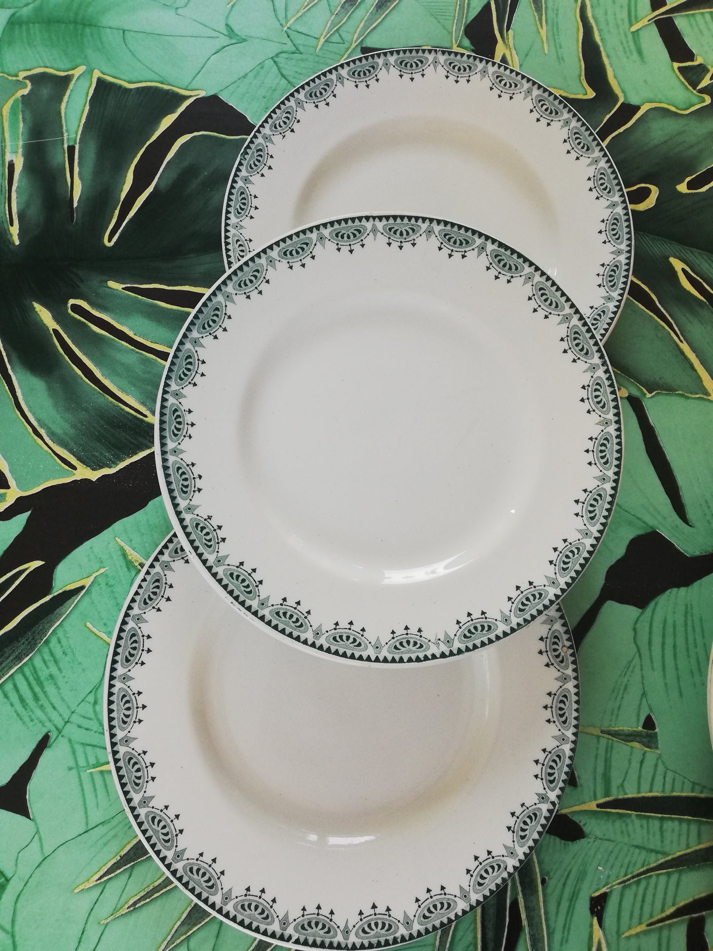 Assiette plate Saint Amand terre de fer vert