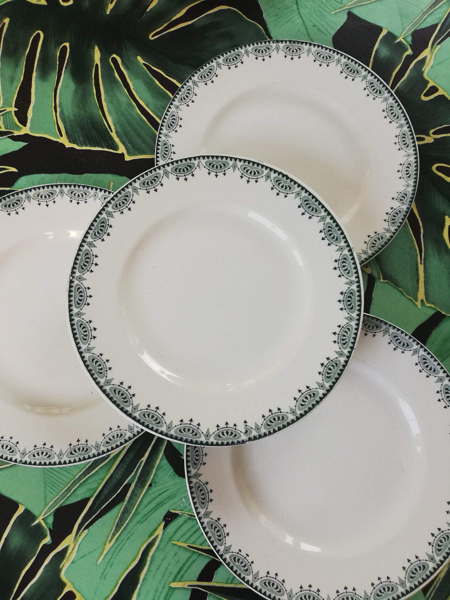 Assiette plate Saint Amand terre de fer vert