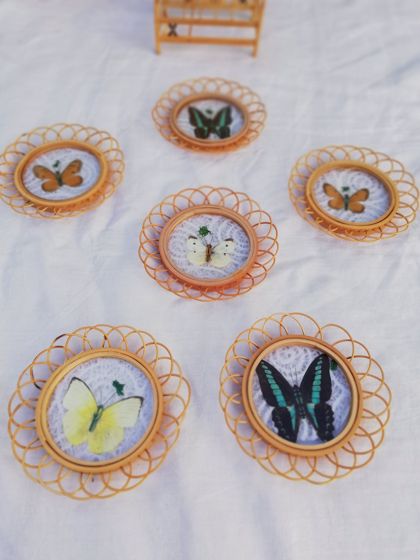 Sous verre Papillon vintage
