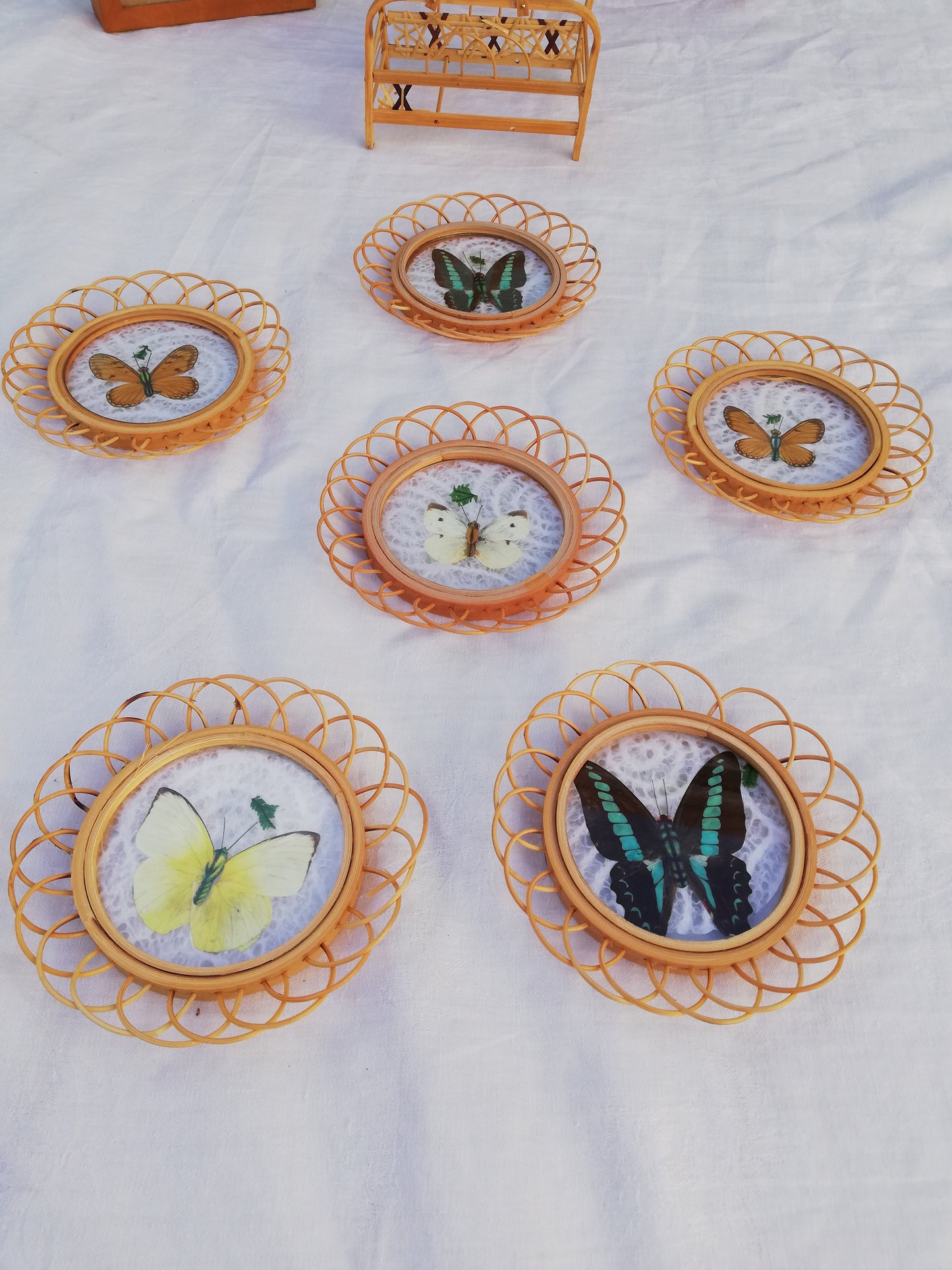 Sous verre Papillon vintage