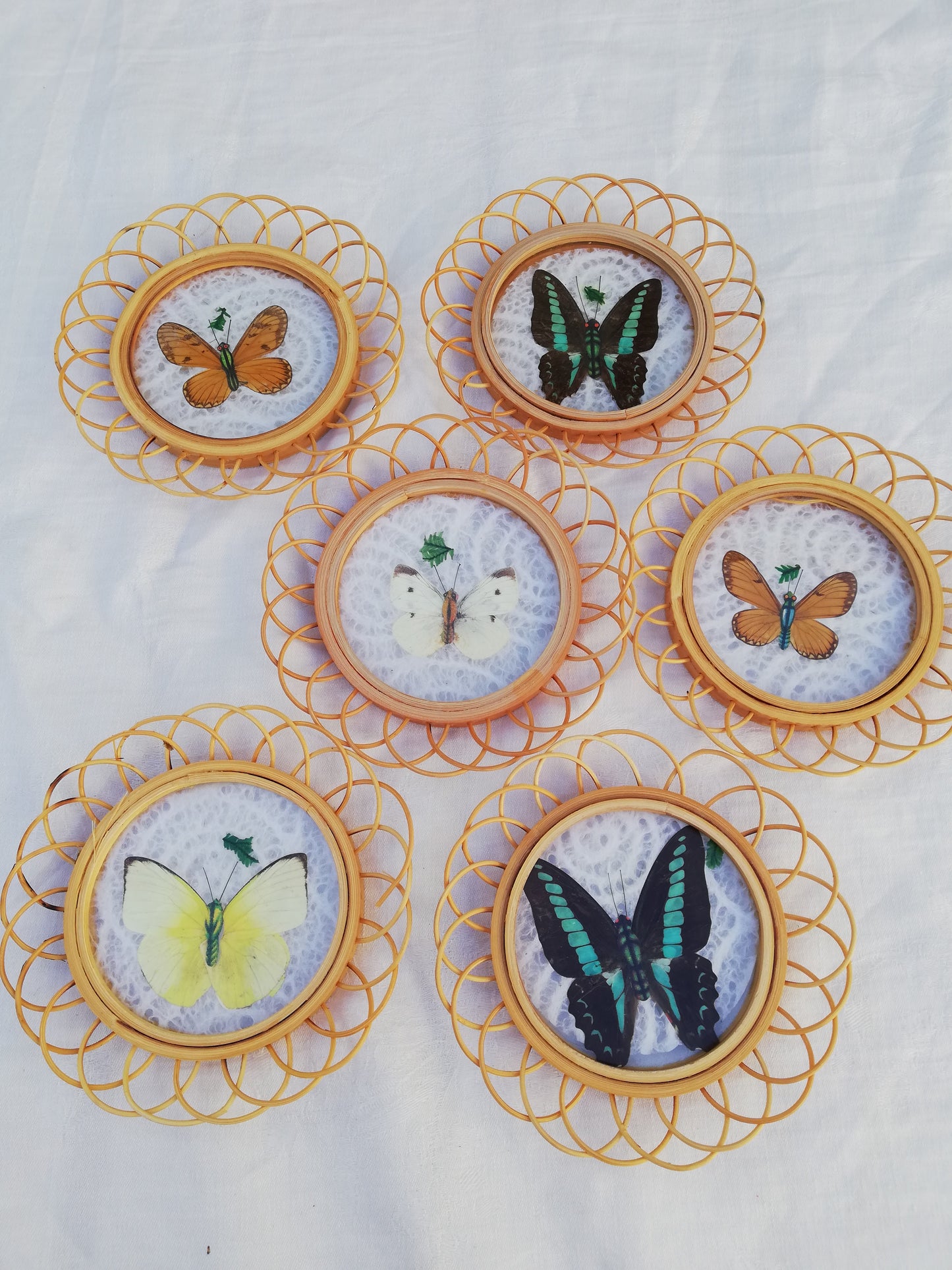Sous verre Papillon vintage