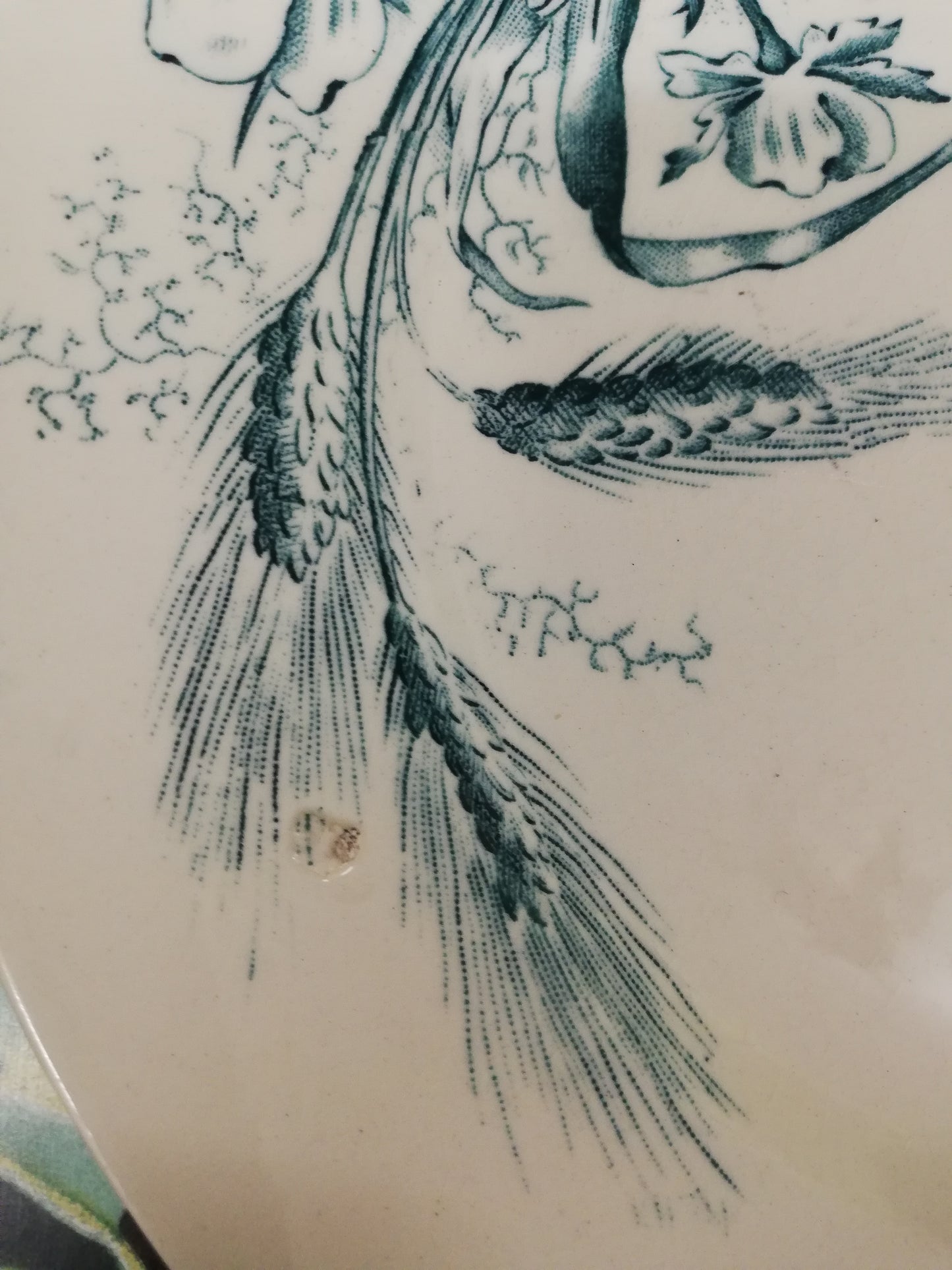 Assiette terre de fer libellule art nouveau