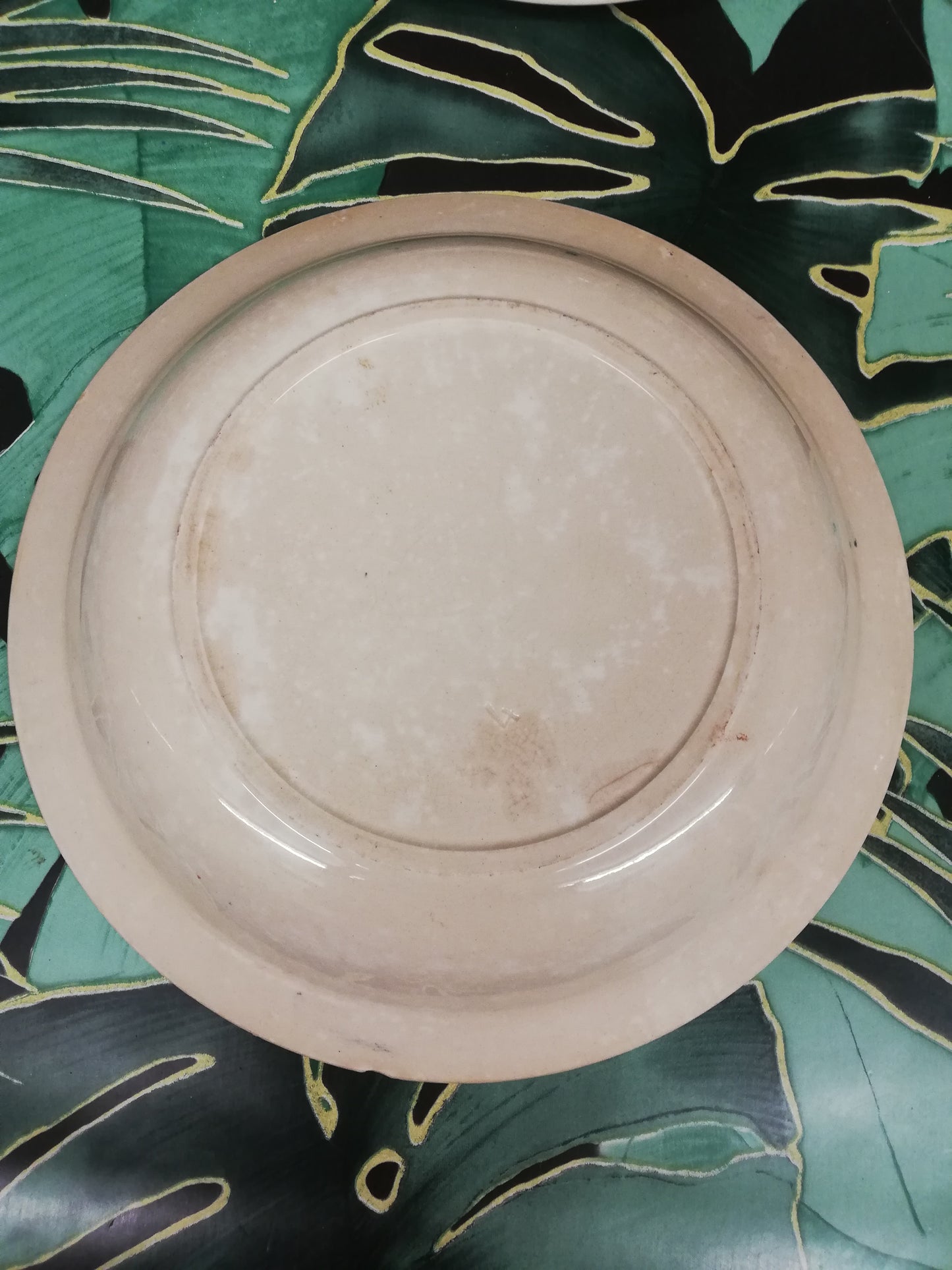 Plat creux terre de fer libellule art nouveau