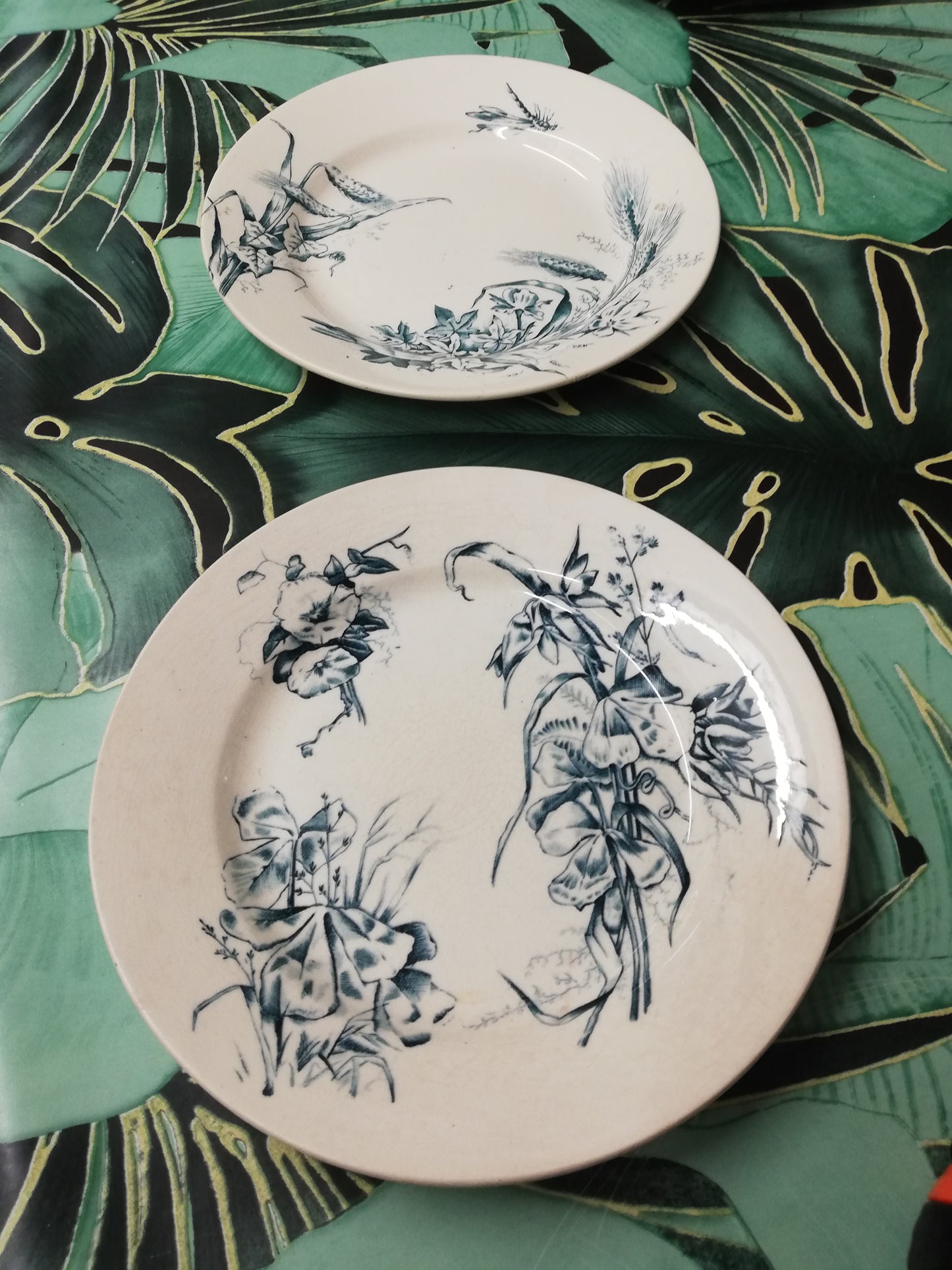 Assiette terre de fer libellule art nouveau