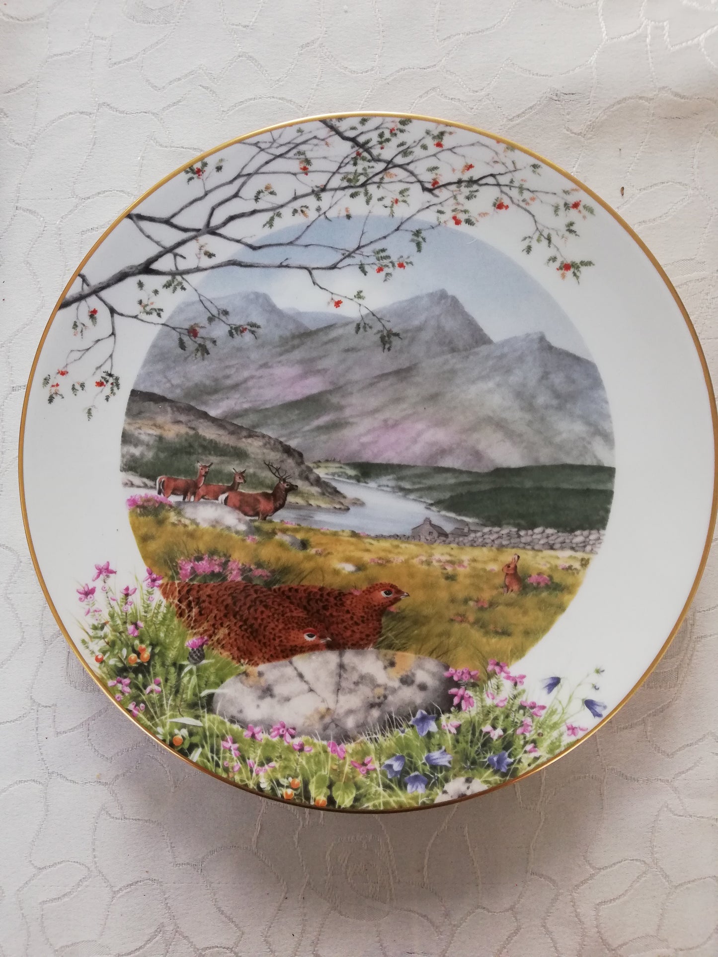 Assiette Fine Porcelaine Royal Worcester Peter Barrett
