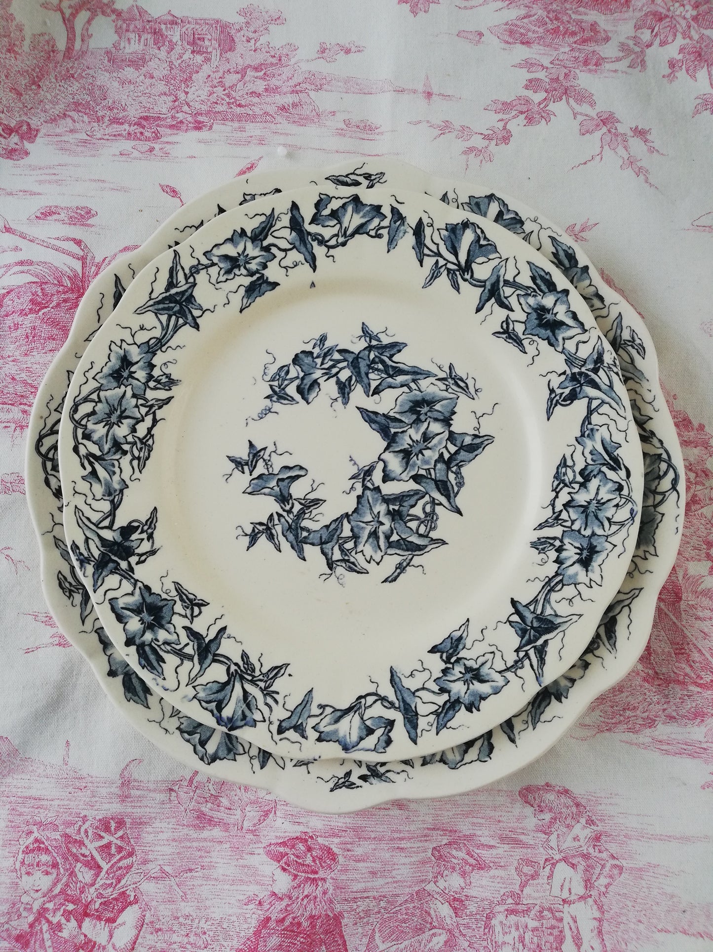 Assiette Terre de Fer Longchamp Liseron