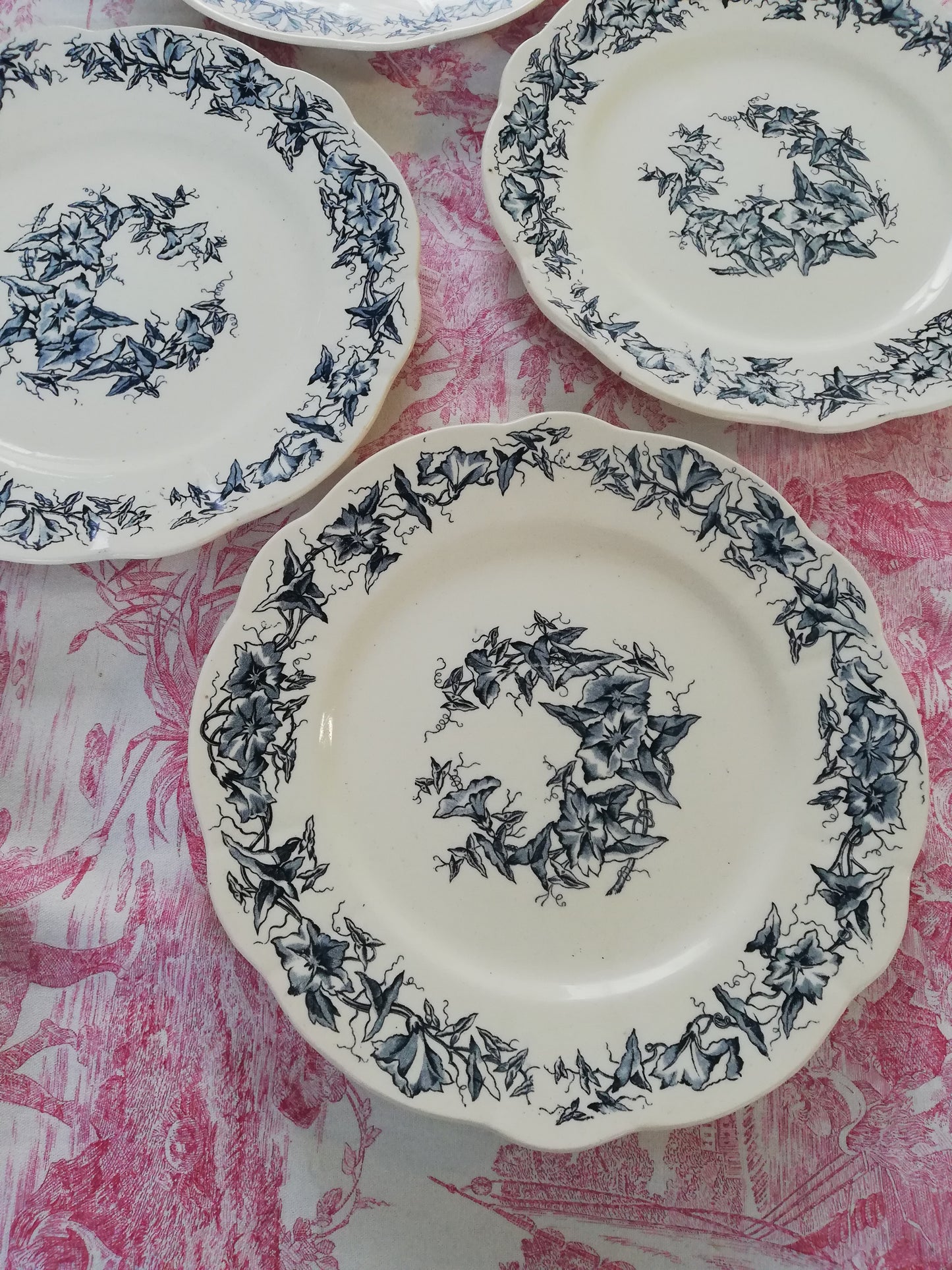 Assiette Terre de Fer Longchamp Liseron