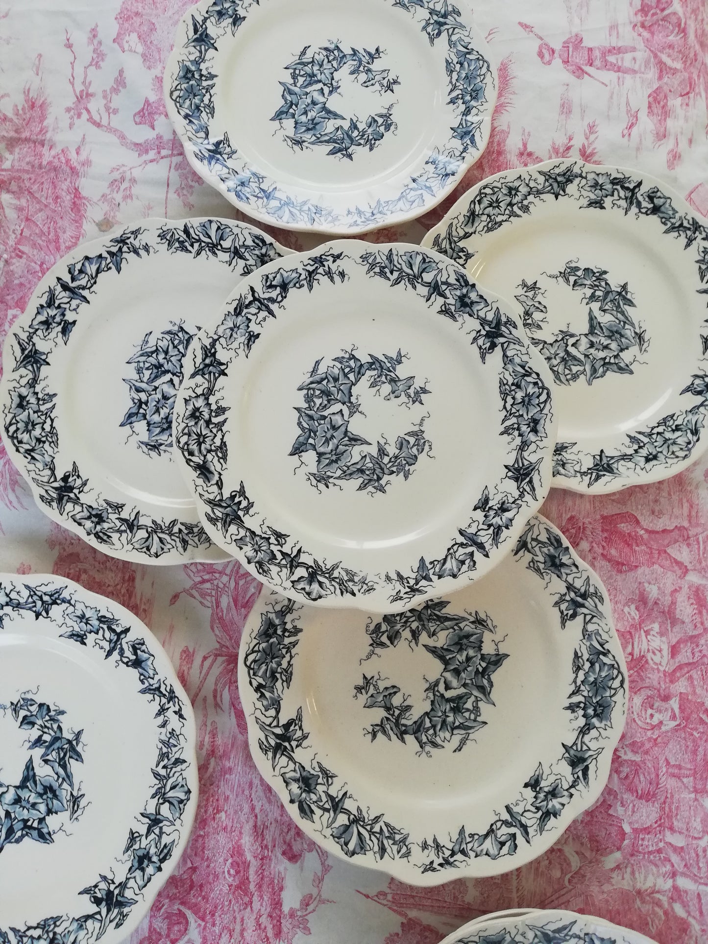 Assiette Terre de Fer Longchamp Liseron