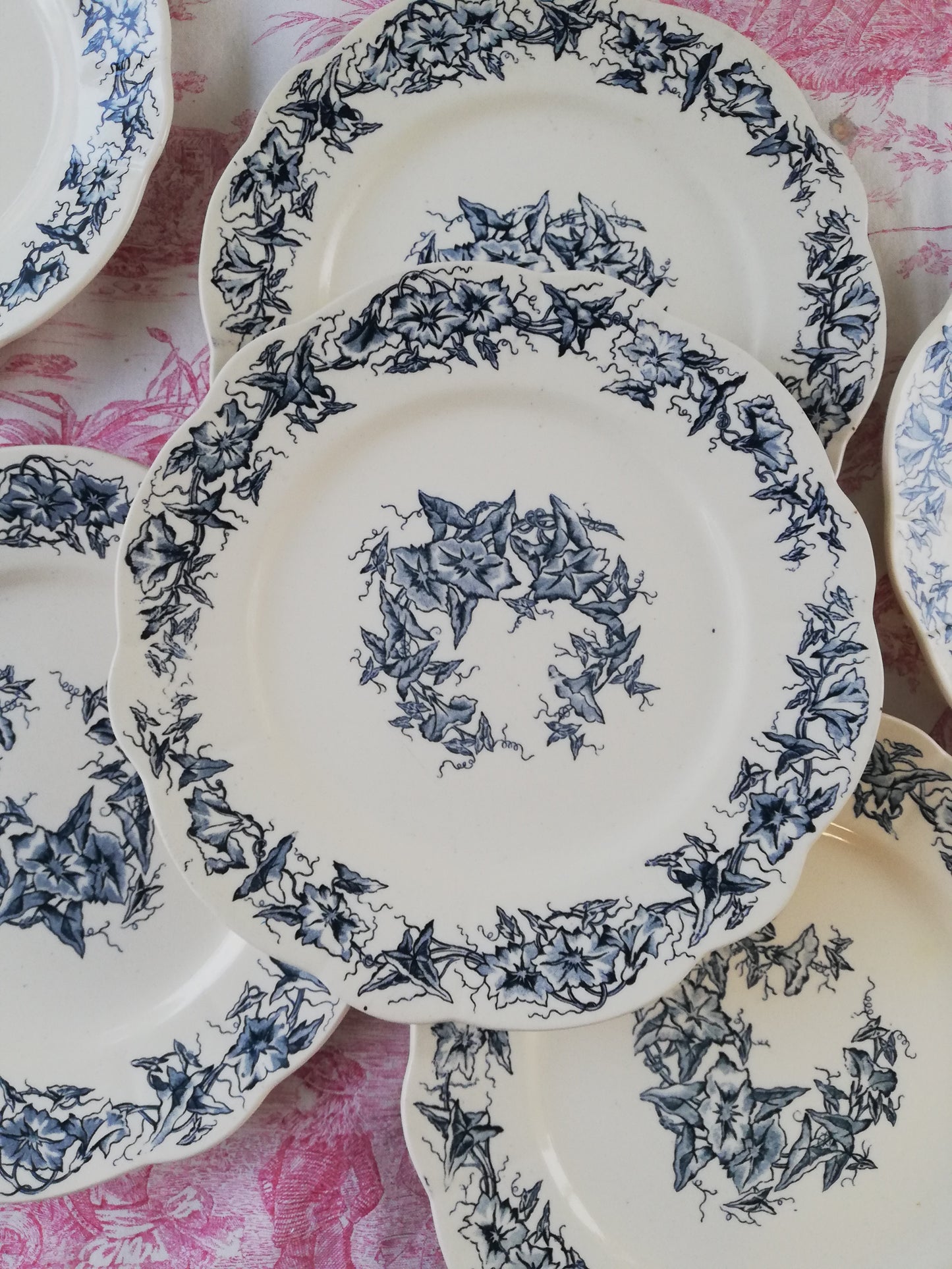 Assiette Terre de Fer Longchamp Liseron