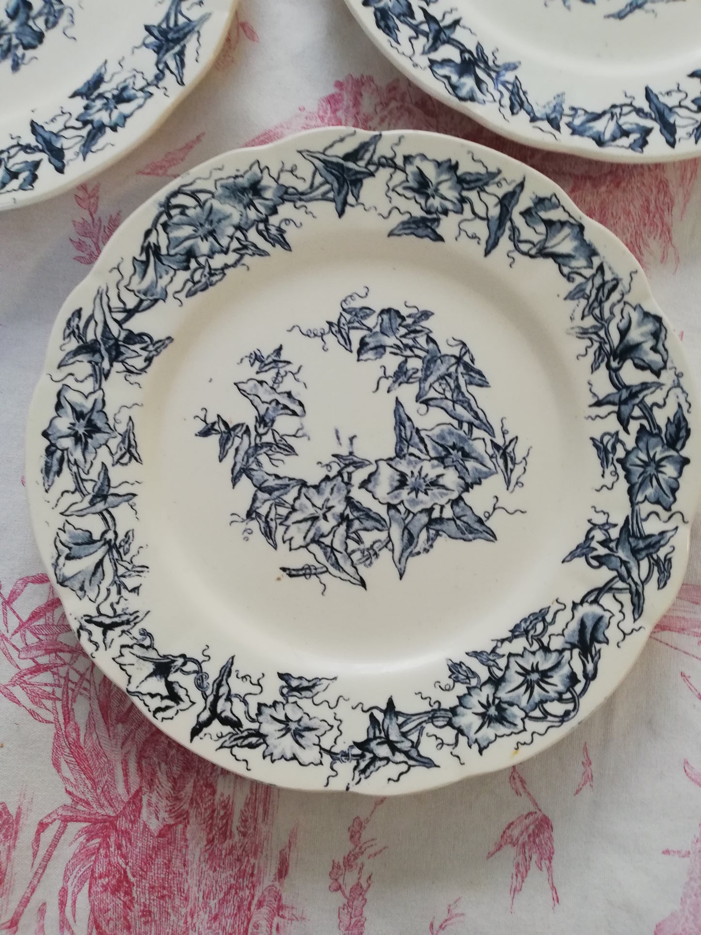 Assiette Terre de Fer Longchamp Liseron