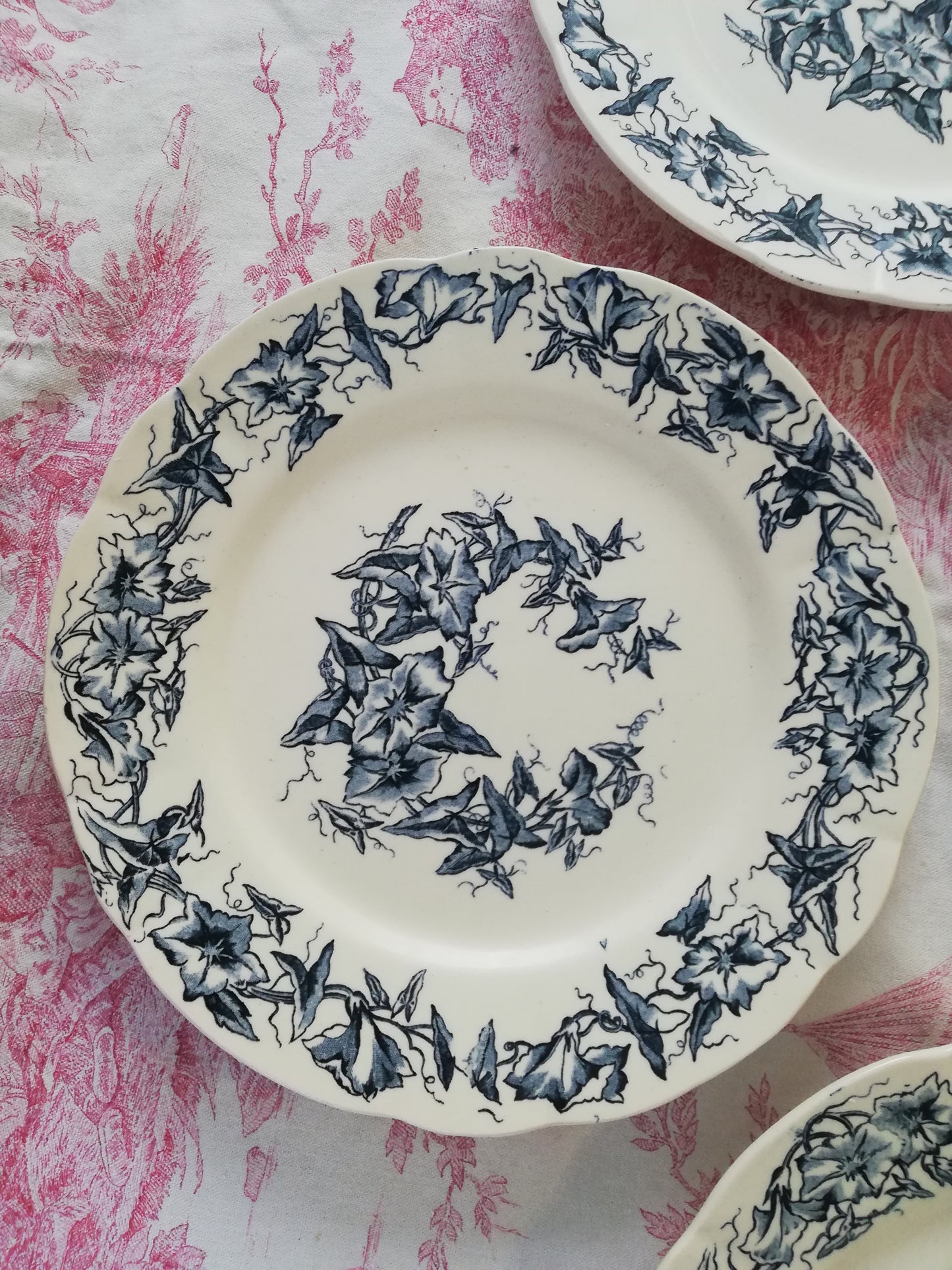 Assiette Terre de Fer Longchamp Liseron