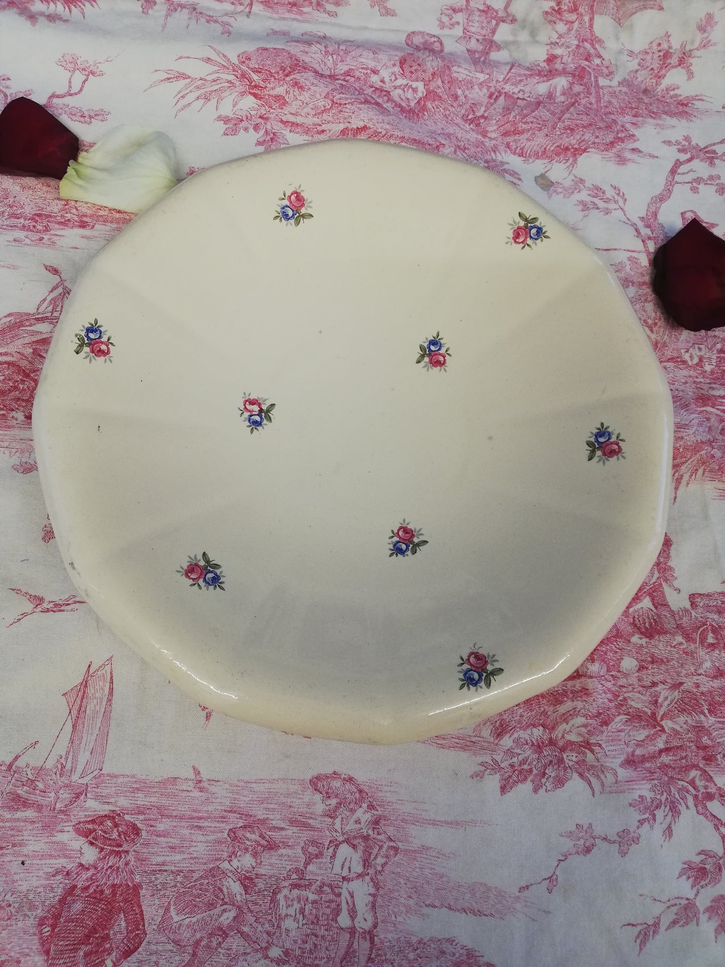 Plat Digoin Sarreguemines