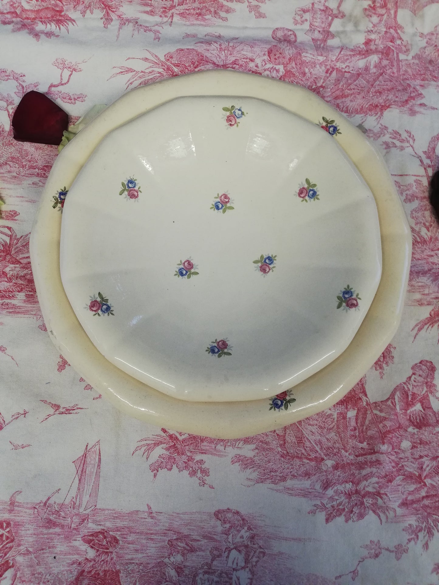 Plat Digoin Sarreguemines