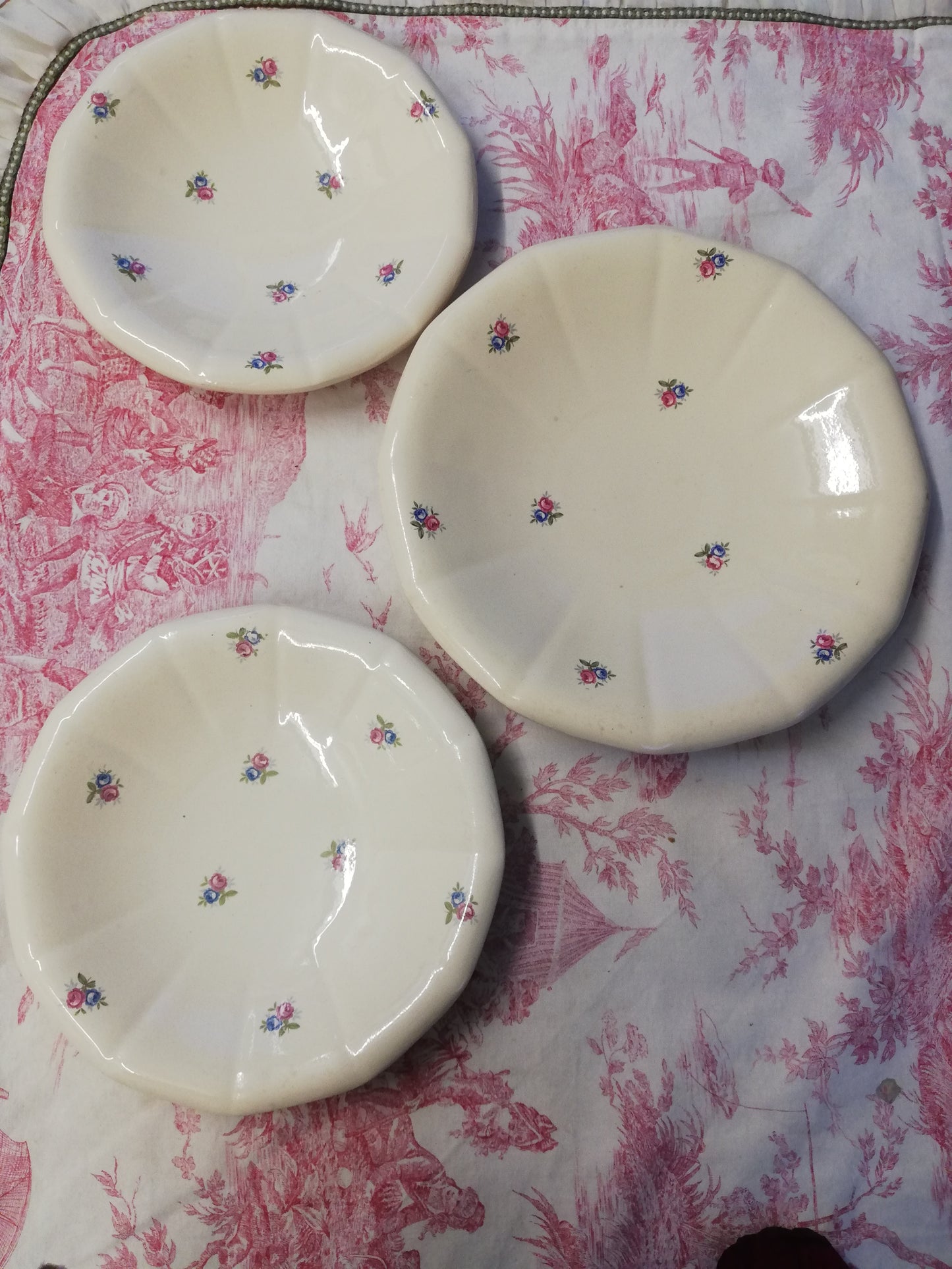 Plat Digoin Sarreguemines