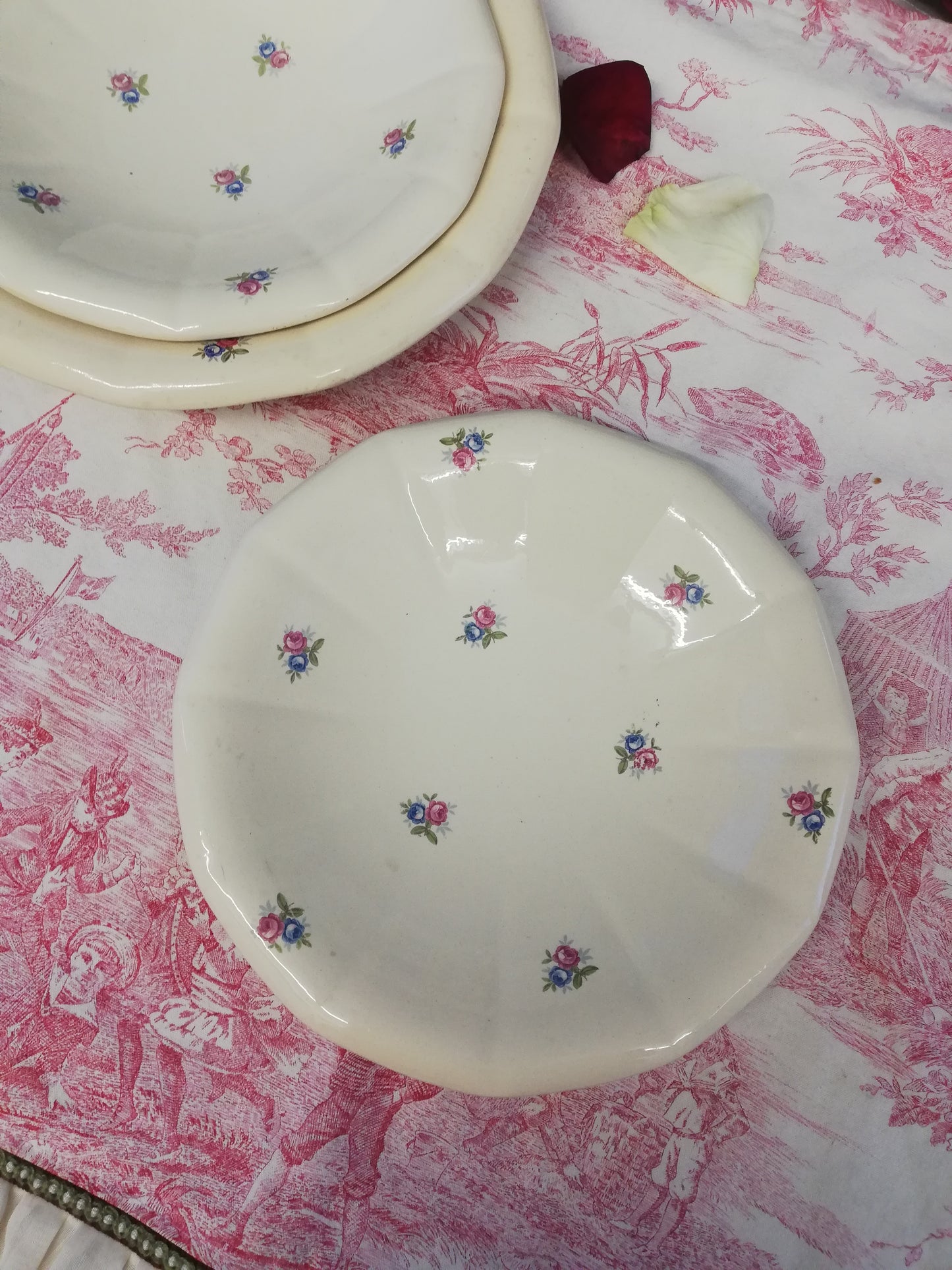 Plat Digoin Sarreguemines