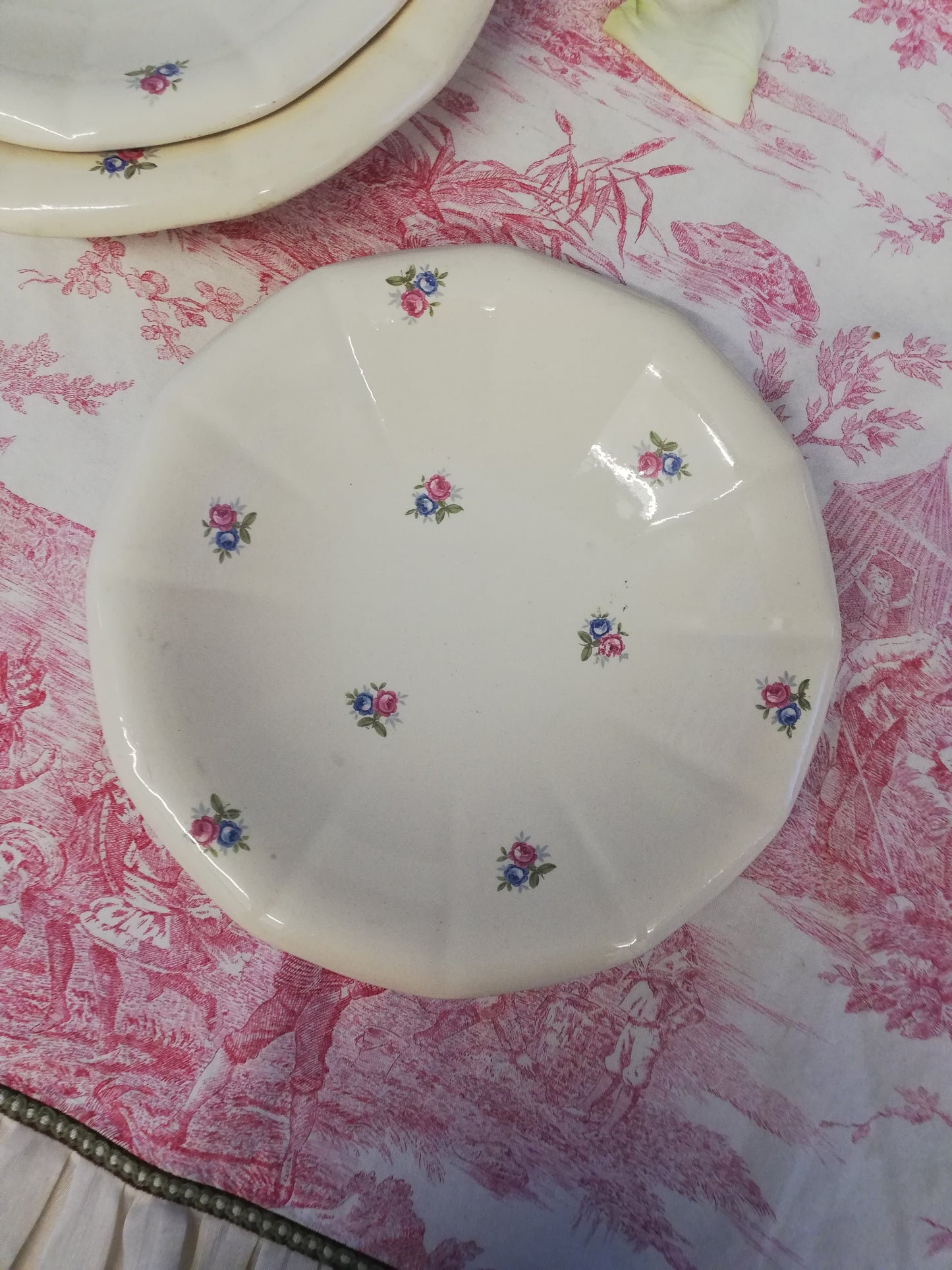 Plat Digoin Sarreguemines