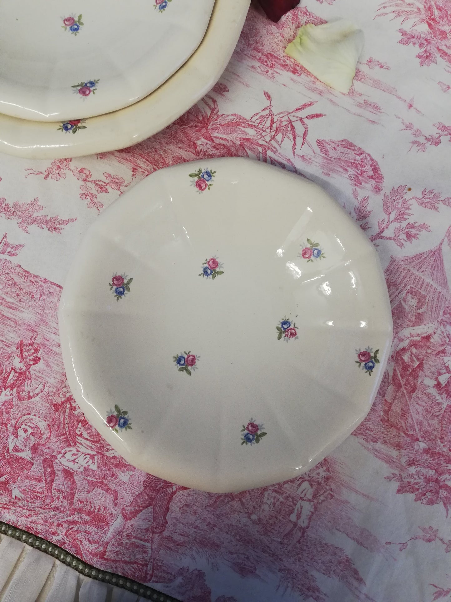 Plat Digoin Sarreguemines