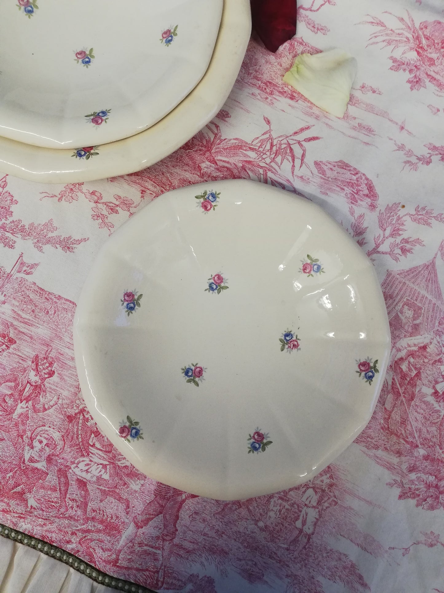 Plat Digoin Sarreguemines