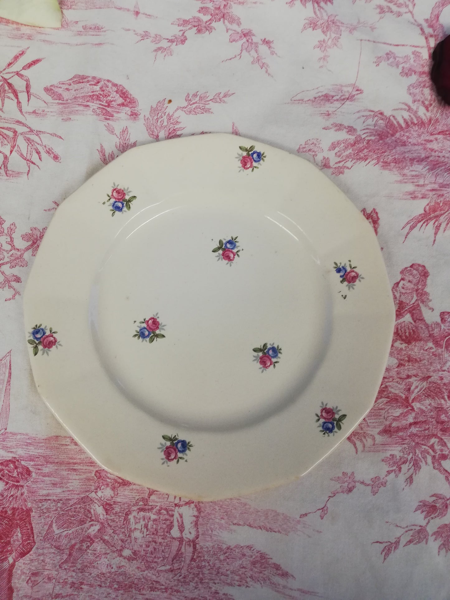 Plat Digoin Sarreguemines