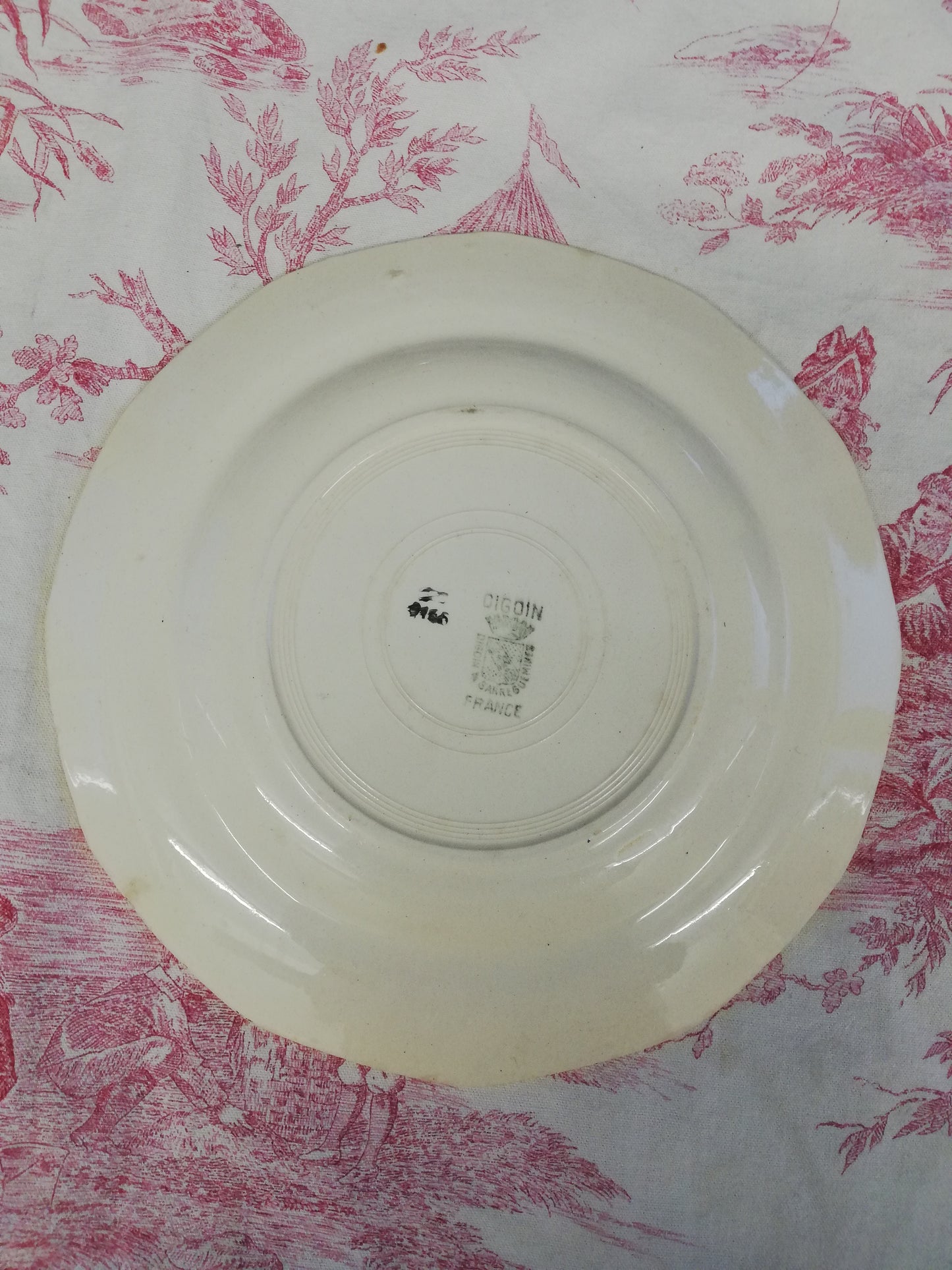 Plat Digoin Sarreguemines