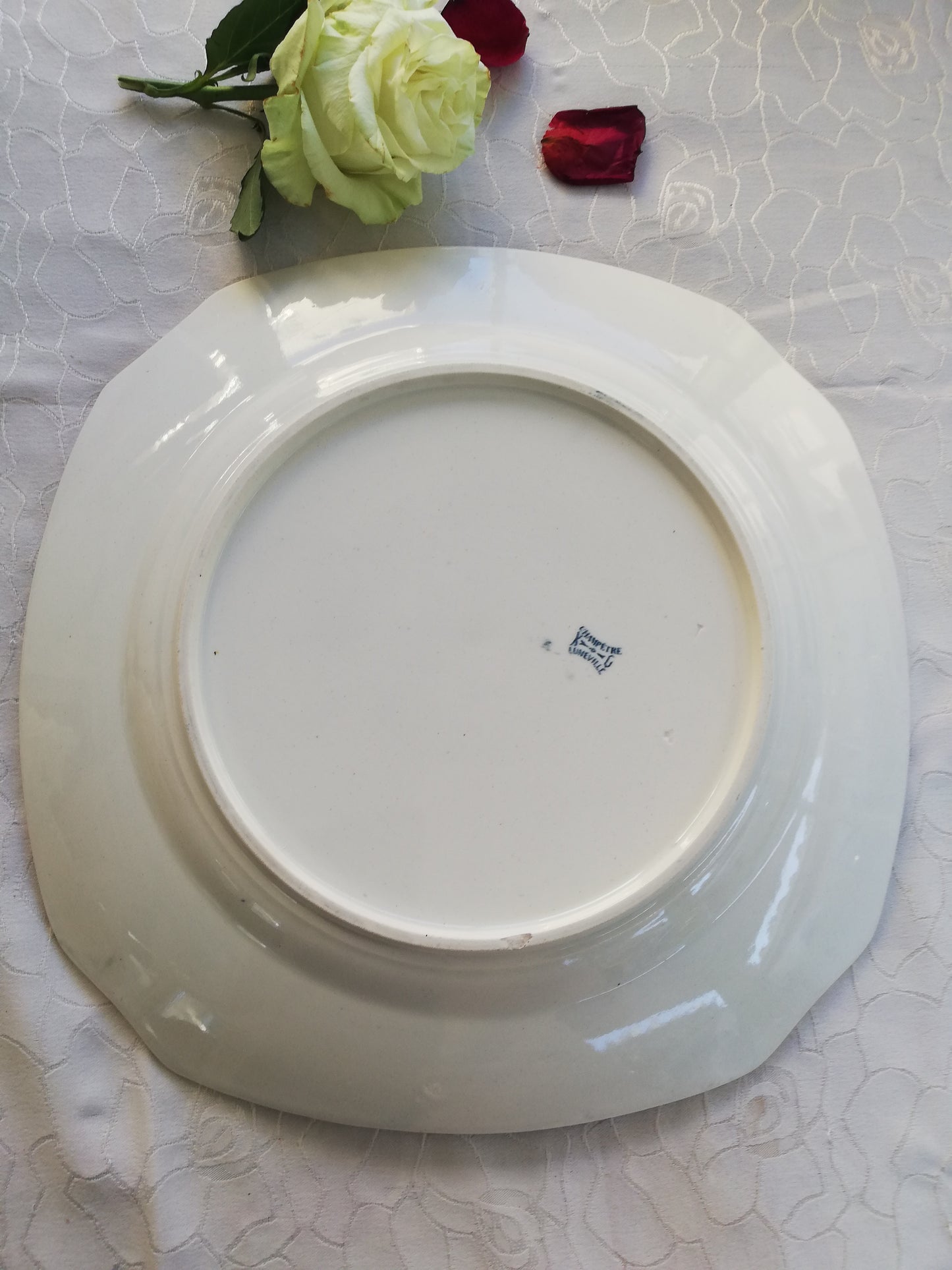 Plat Terre de Fer KG Luneville Champêtre