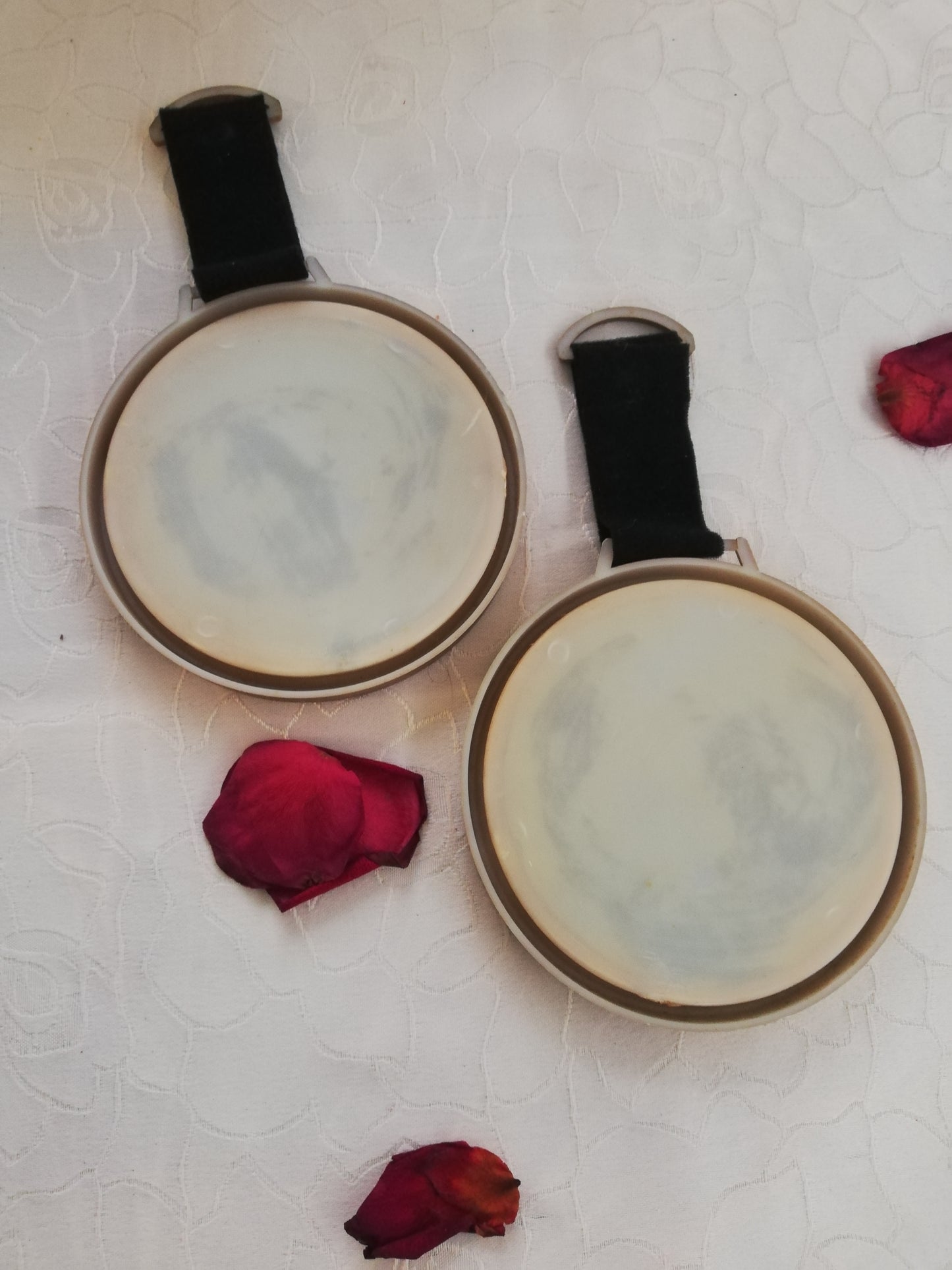 Set de 2 Cadres Vintage Fleurs sechées et verre bombée