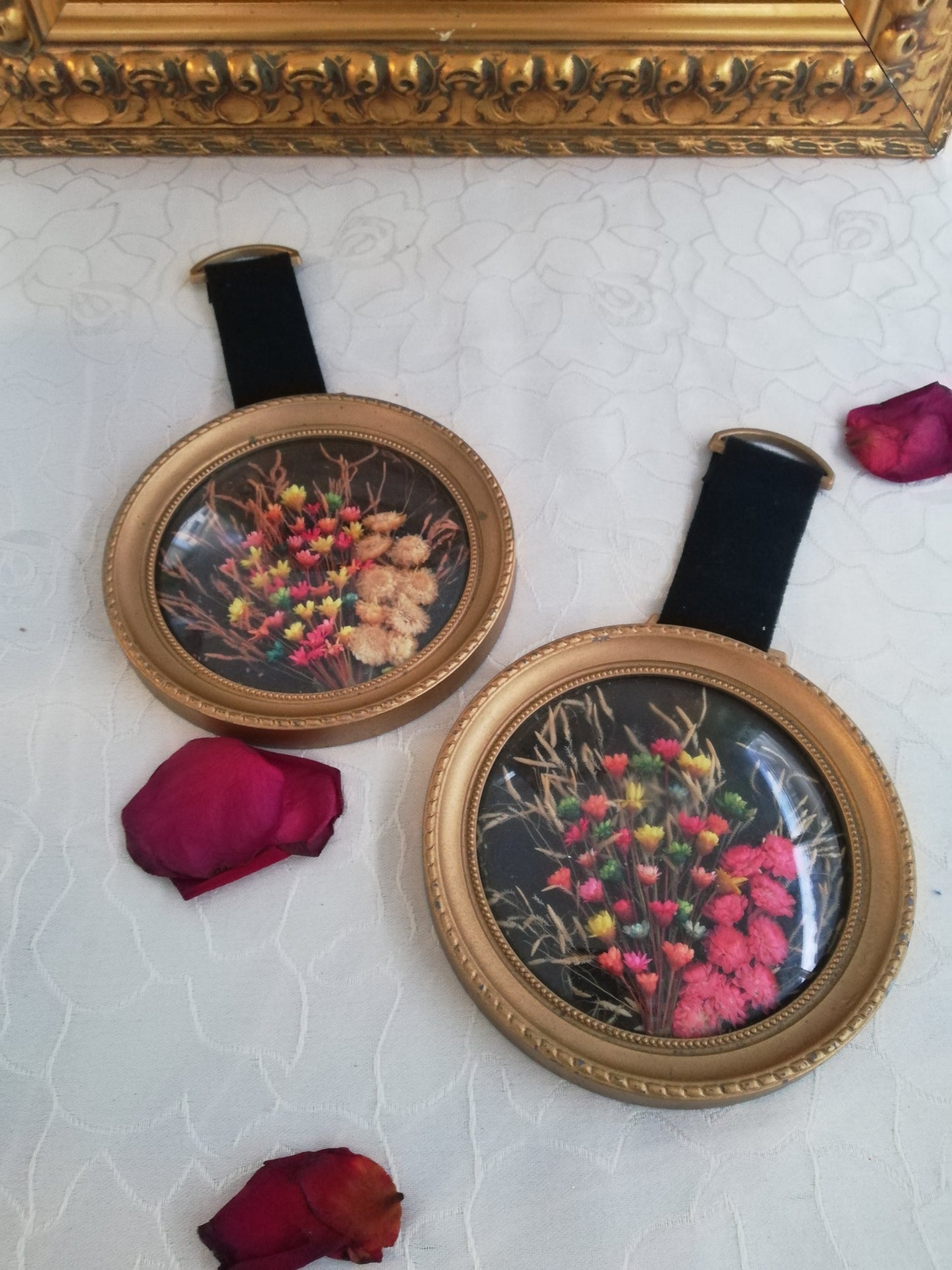 Set de 2 Cadres Vintage Fleurs sechées et verre bombée