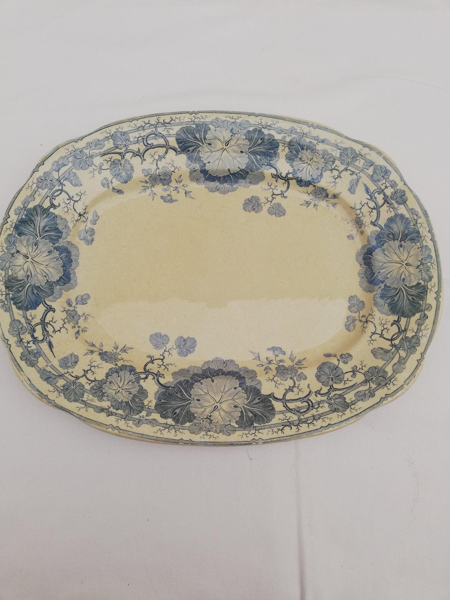 Plat Geranium Sarreguemines