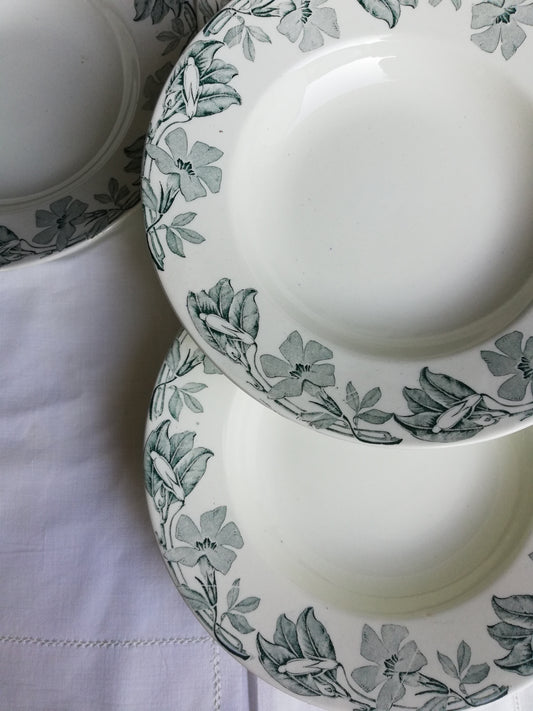 Tiefer Teller KG Luneville