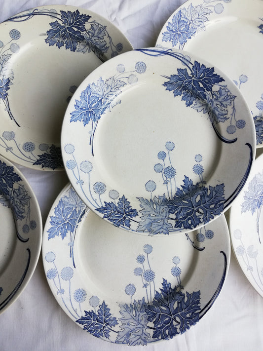 Platane Plate KG Luneville