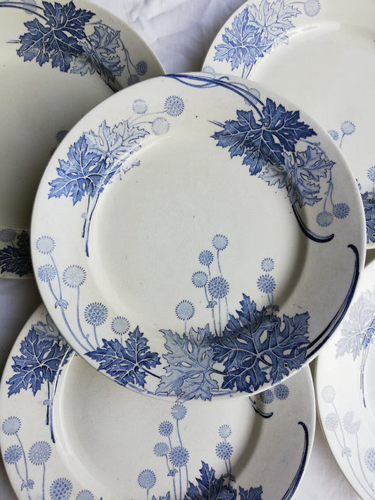 Platane Plate KG Luneville