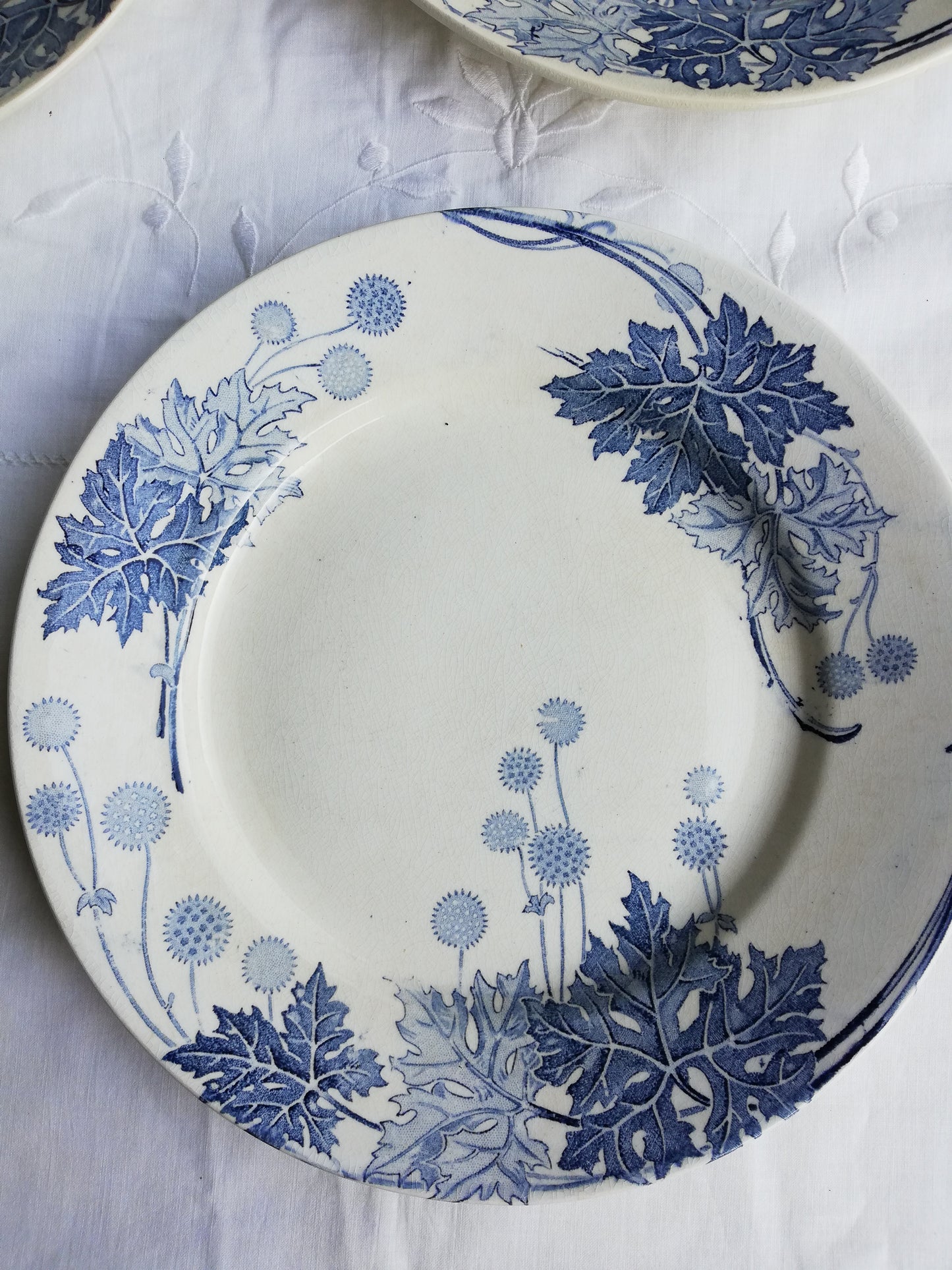 Platane Plate KG Luneville