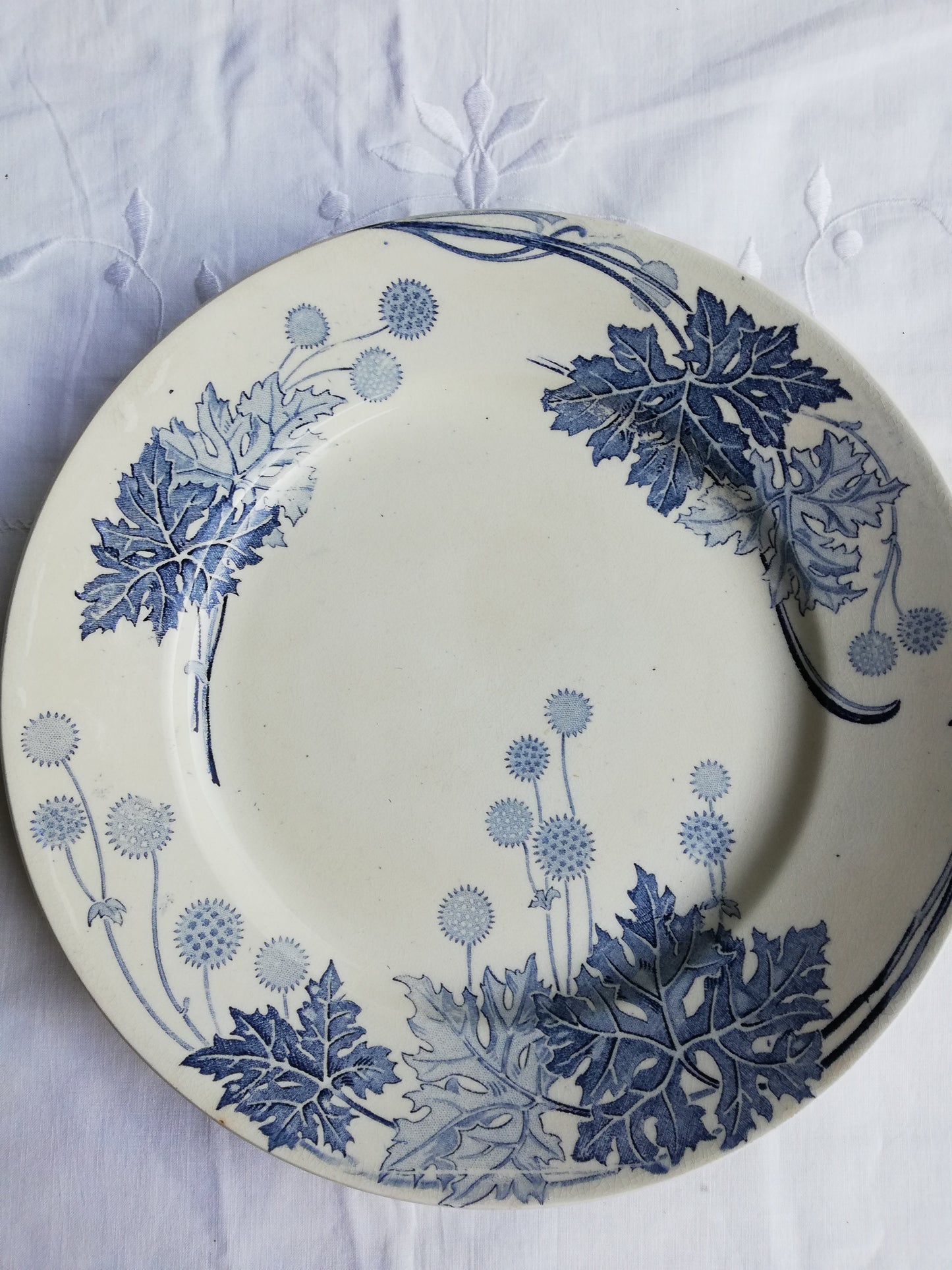 Platane Plate KG Luneville
