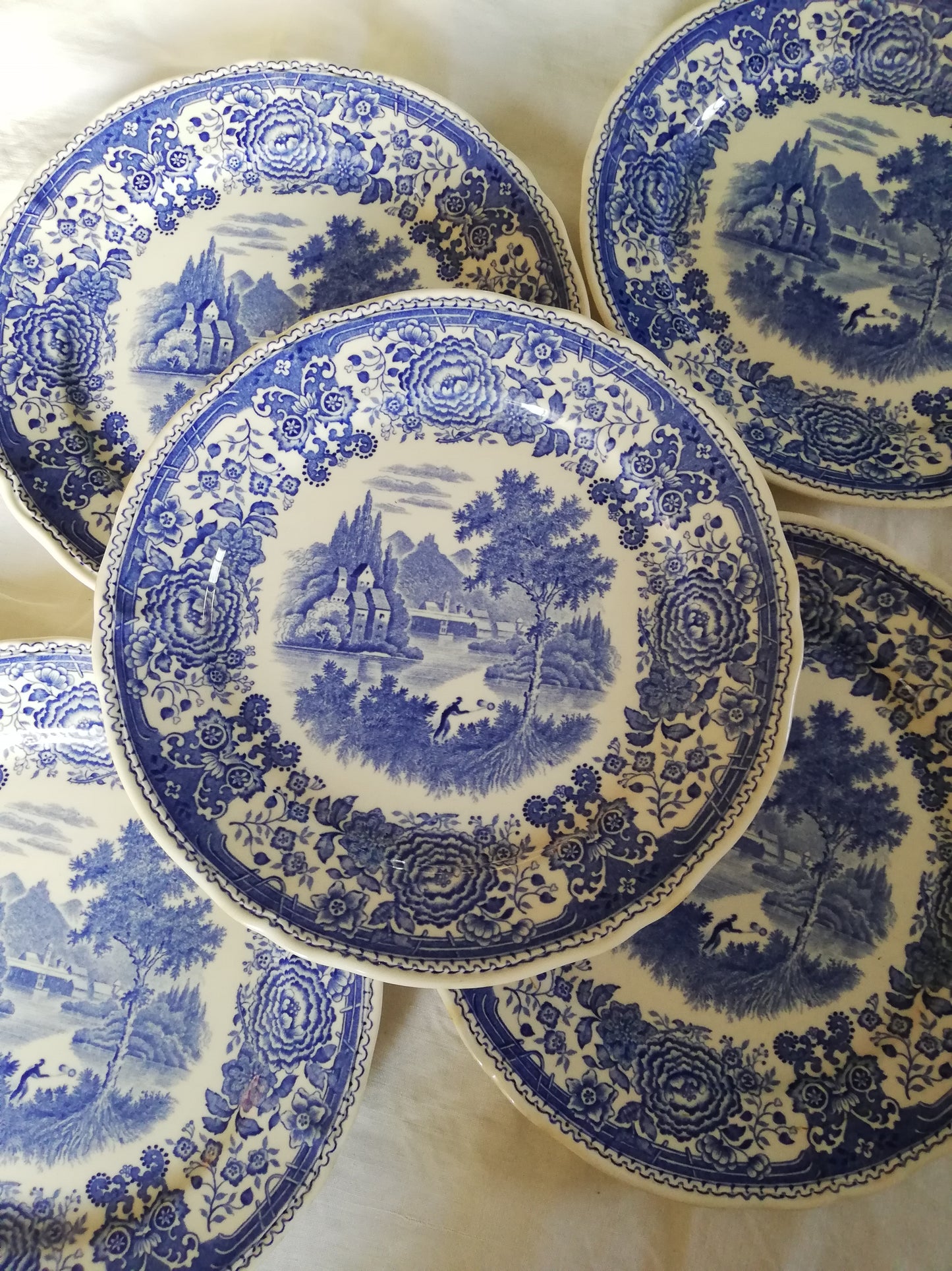 Assiette 21 cm Burgenland Villeroy et Boch