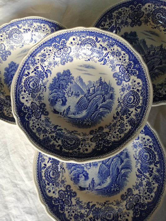 Burgenland tiefer Teller Villeroy und Boch